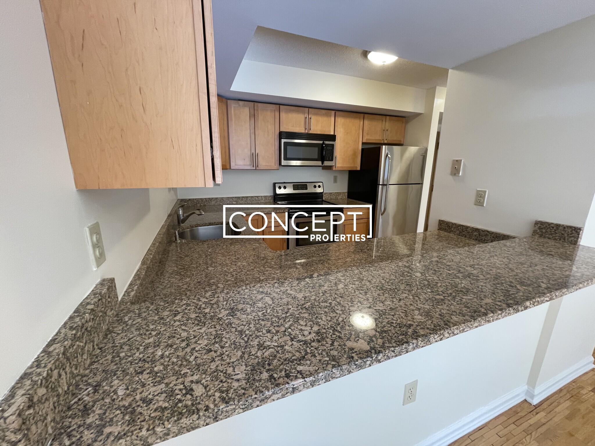 Concept Properties