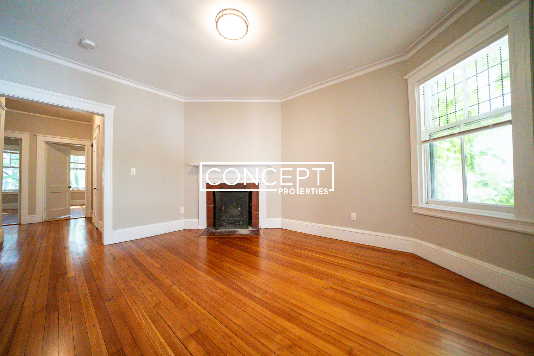 Concept Properties