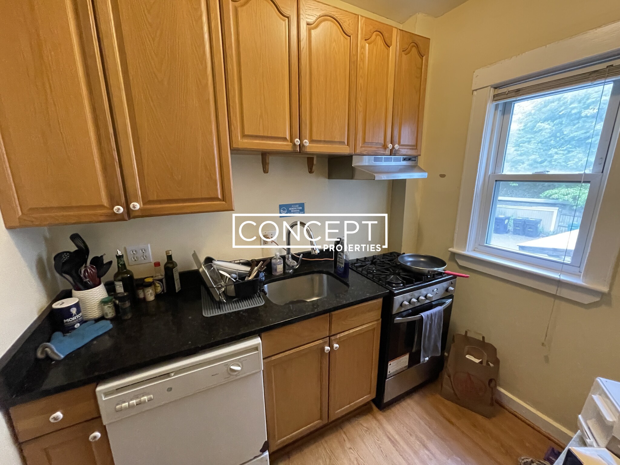 Concept Properties