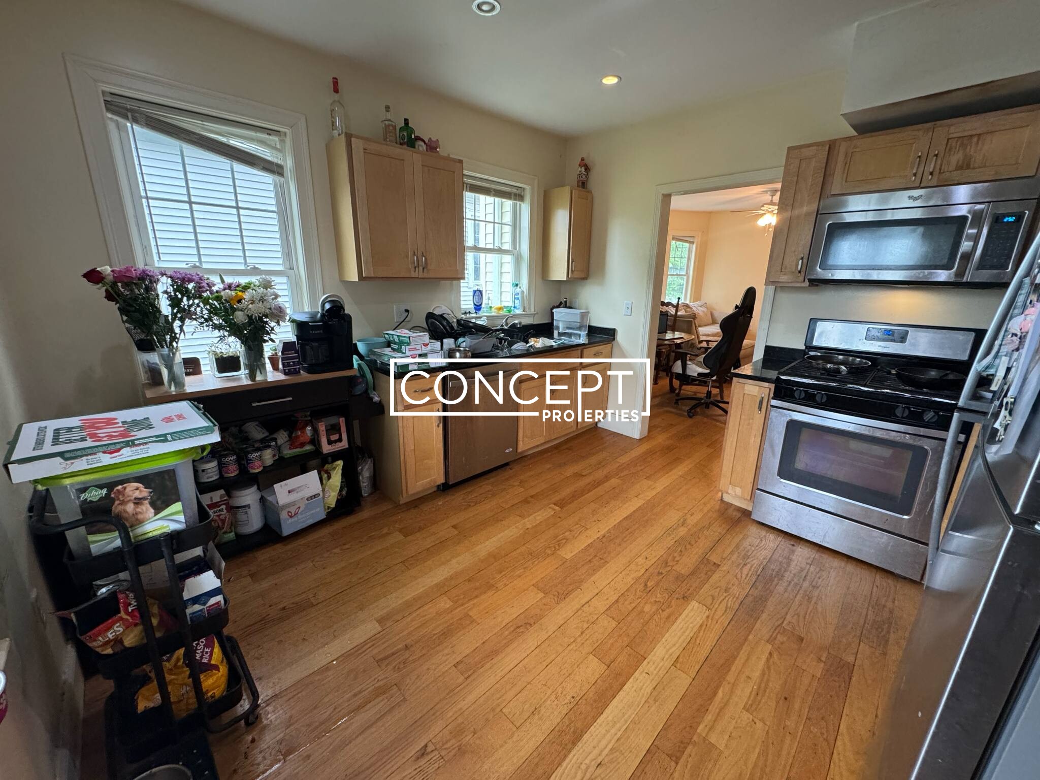 Concept Properties