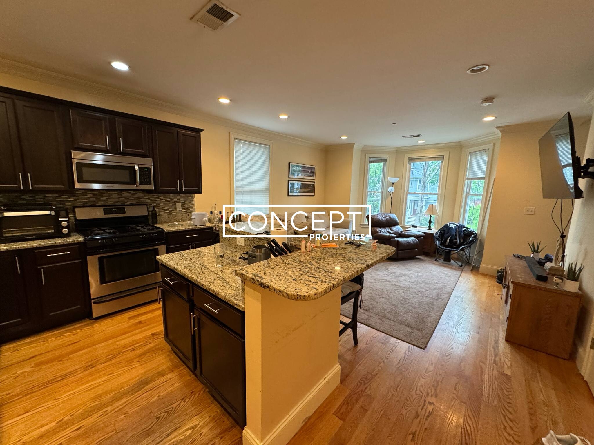 Concept Properties