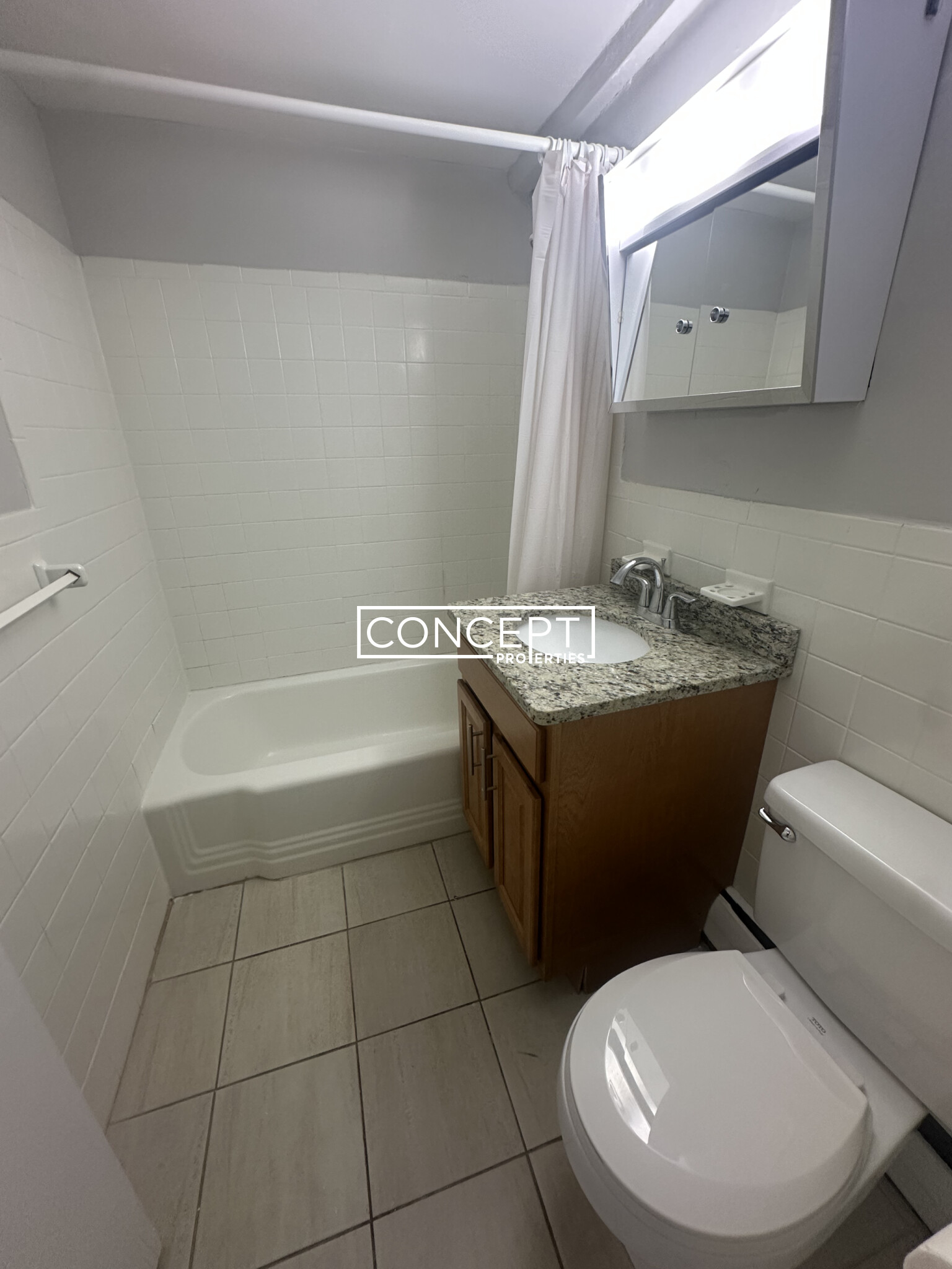 Concept Properties