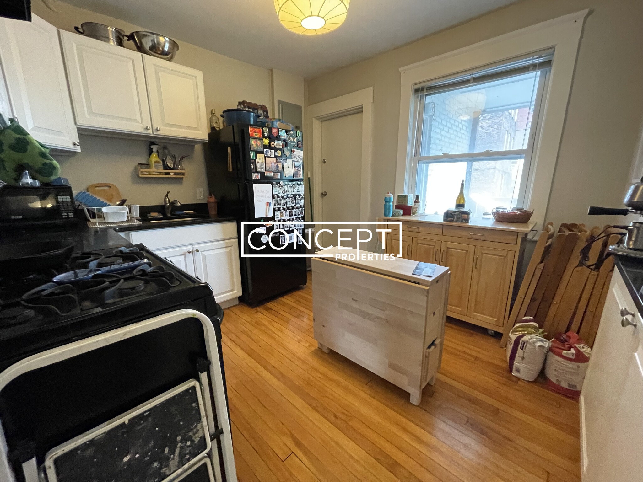 Concept Properties