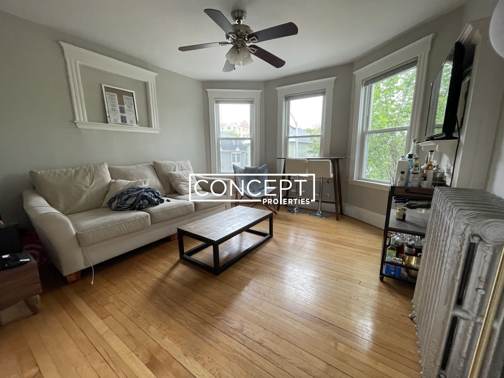Concept Properties
