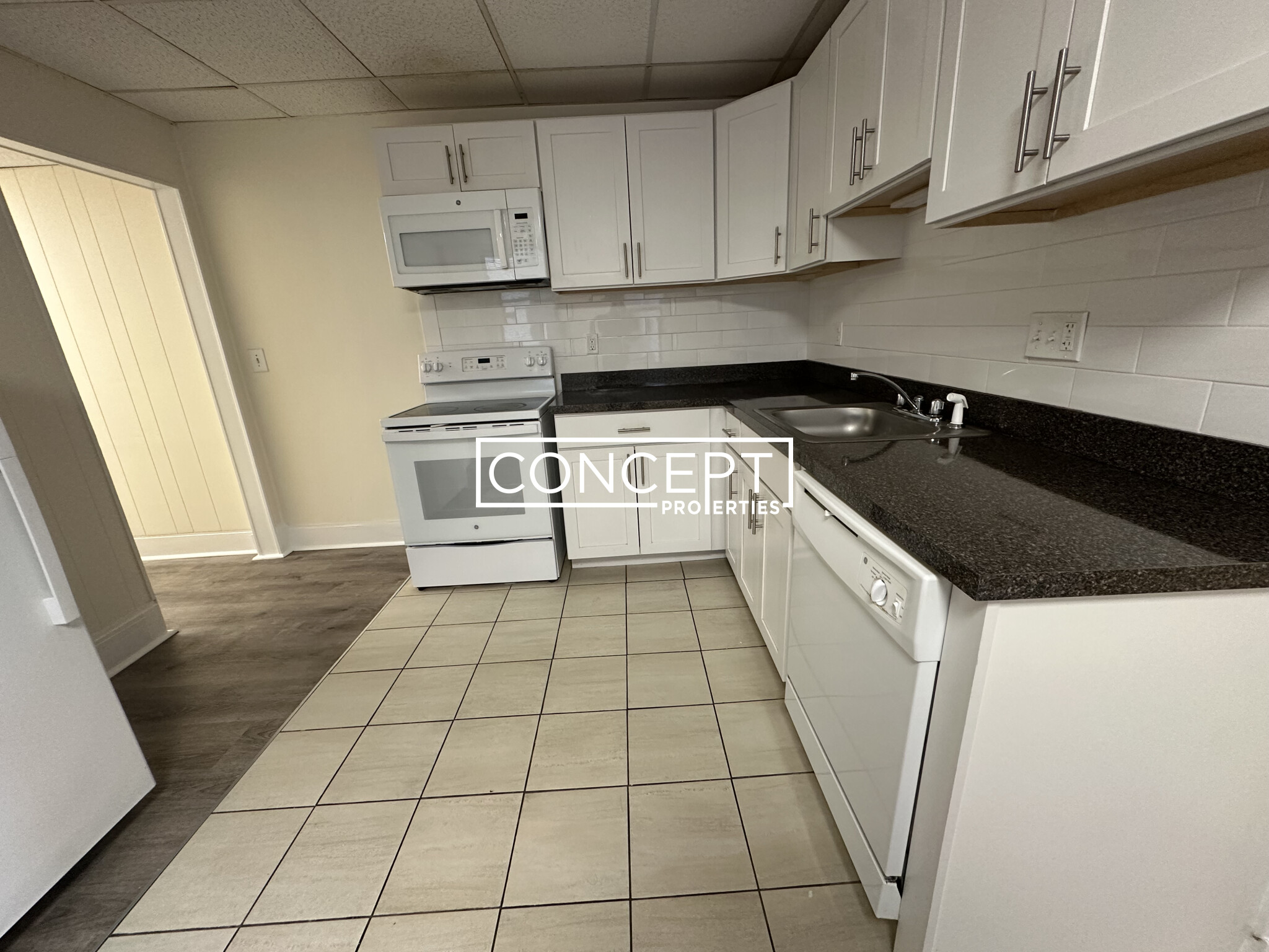 Concept Properties
