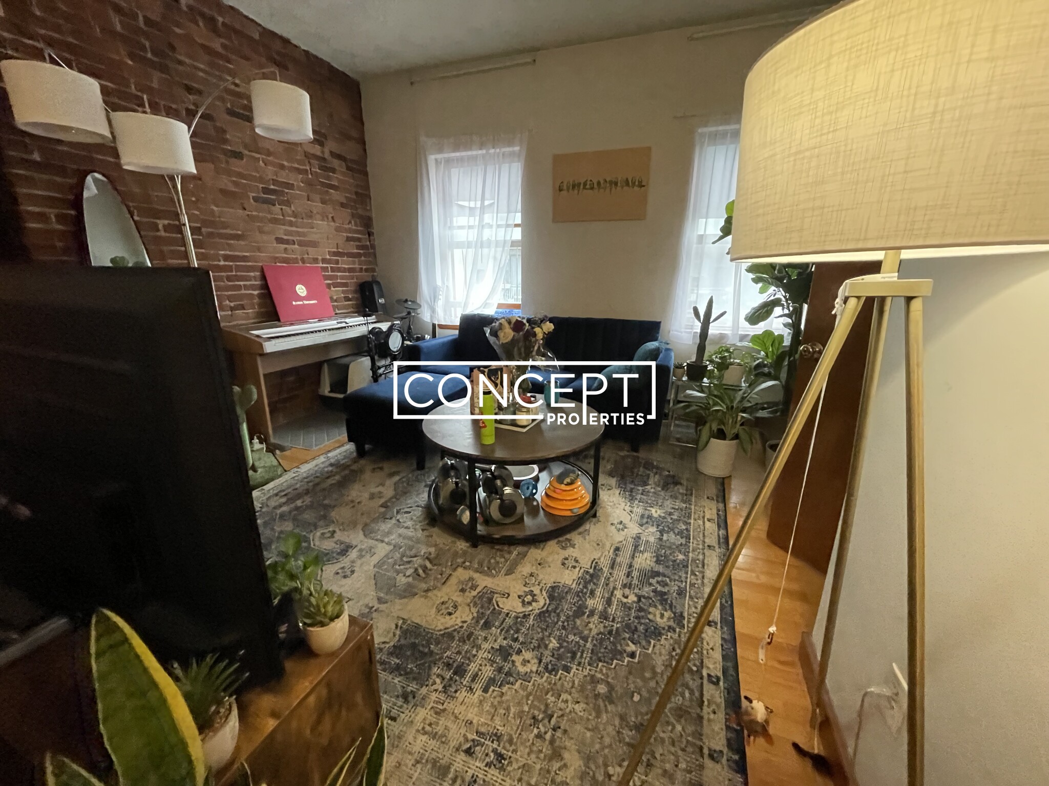 Concept Properties