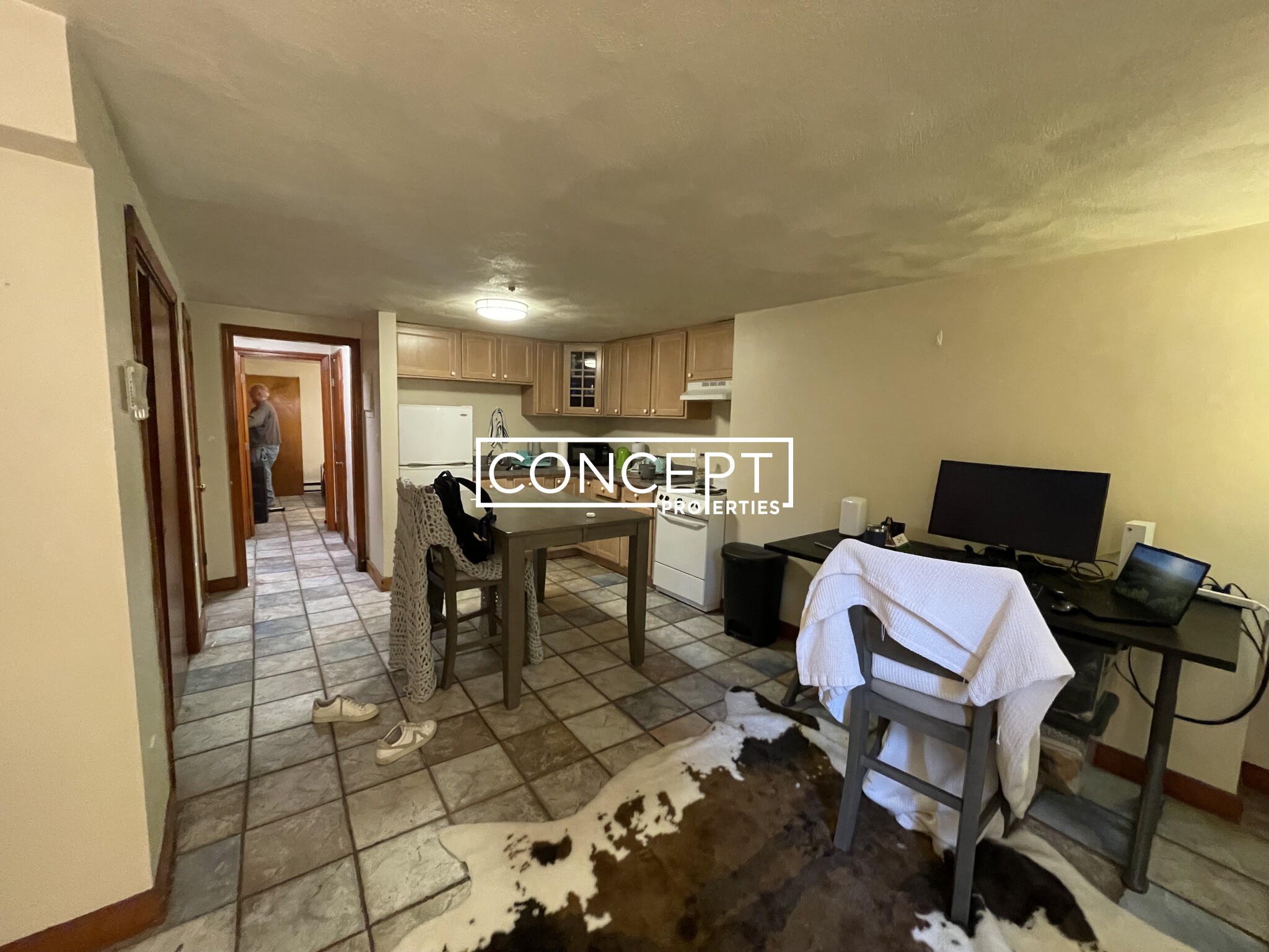 Concept Properties