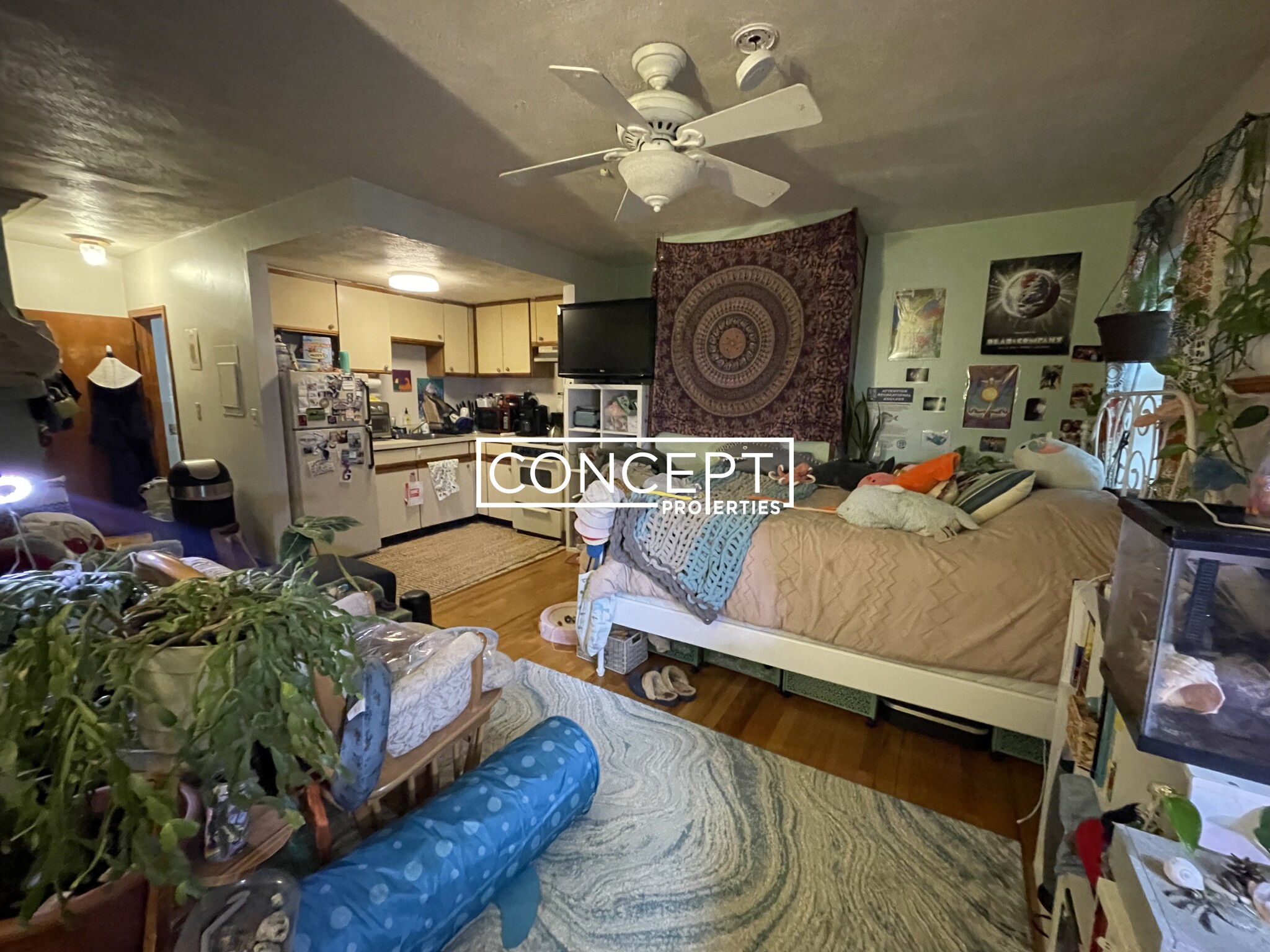 Concept Properties