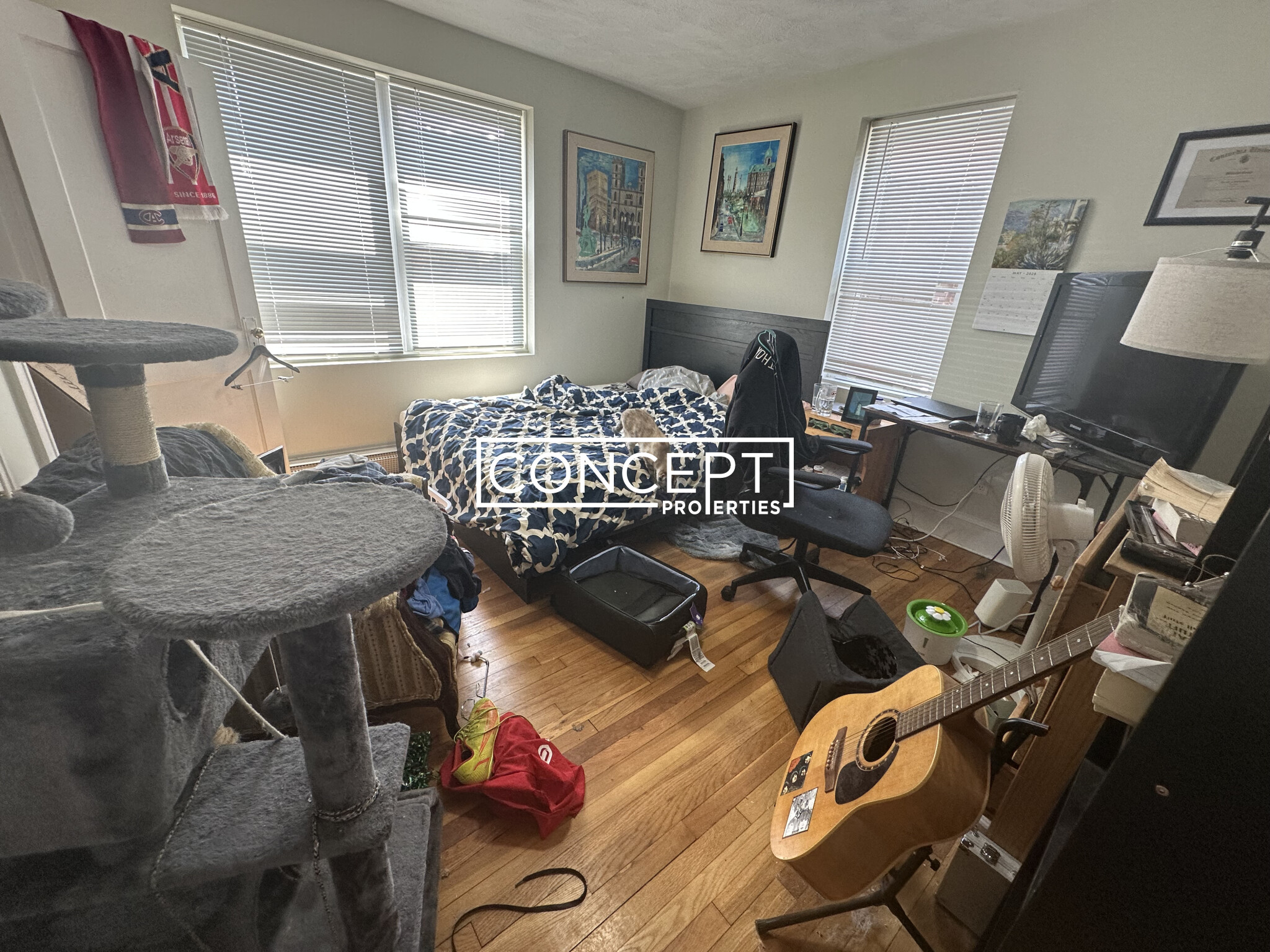 Concept Properties