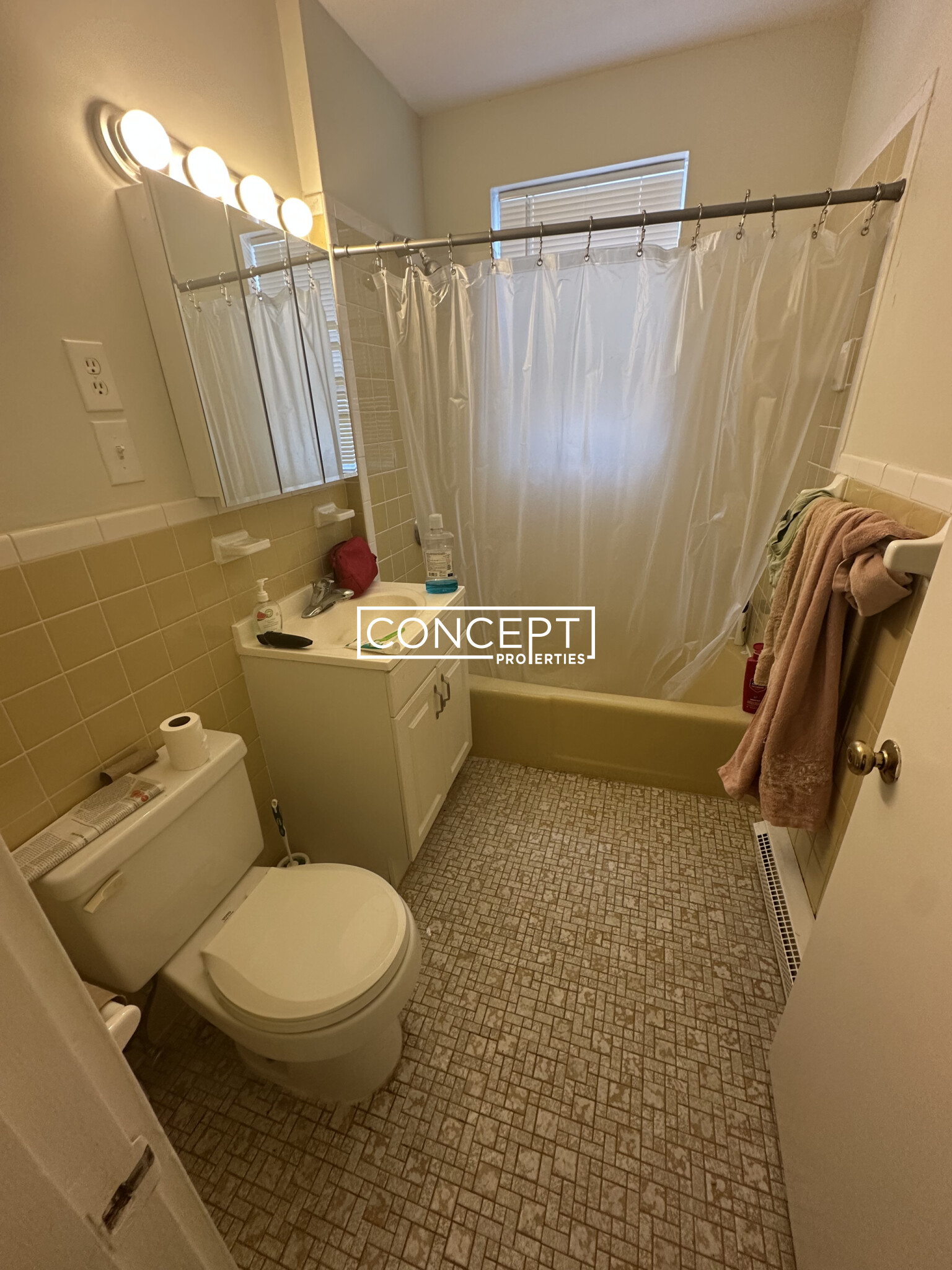 Concept Properties
