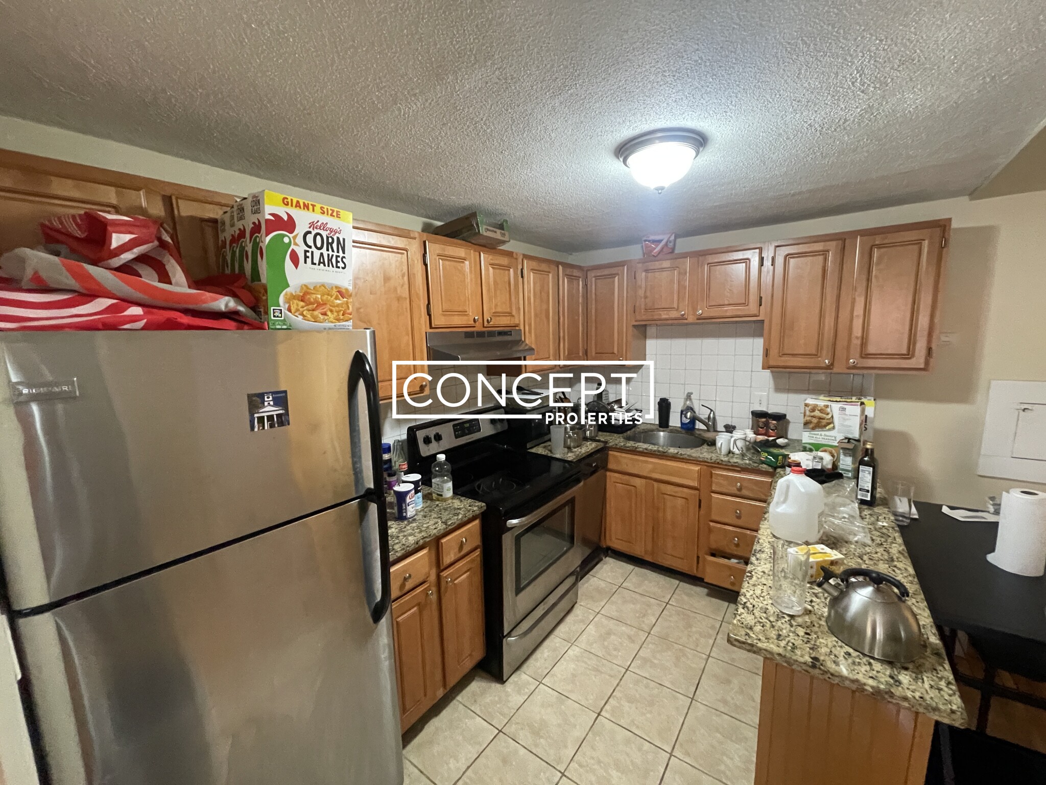 Concept Properties