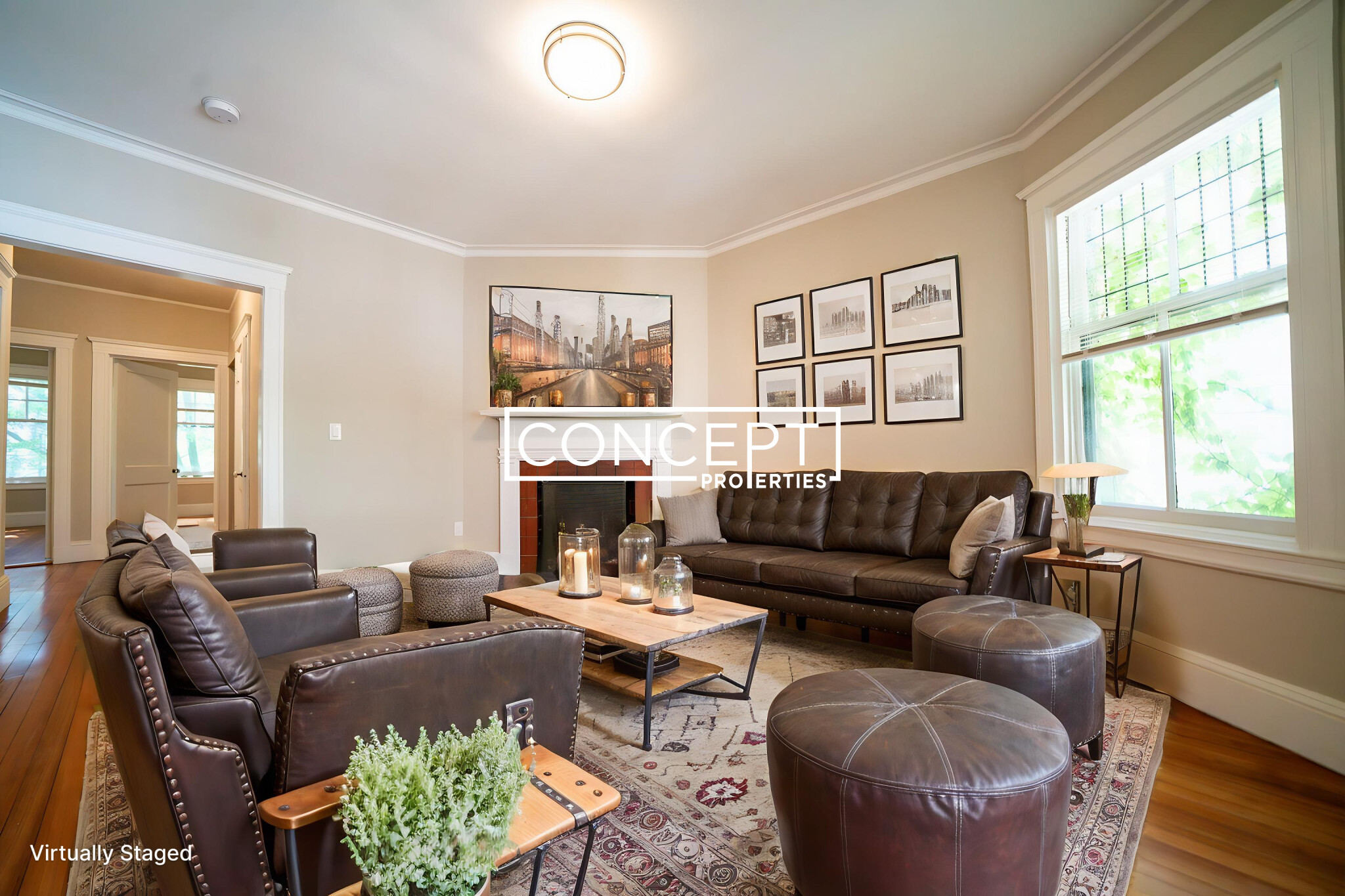 Concept Properties