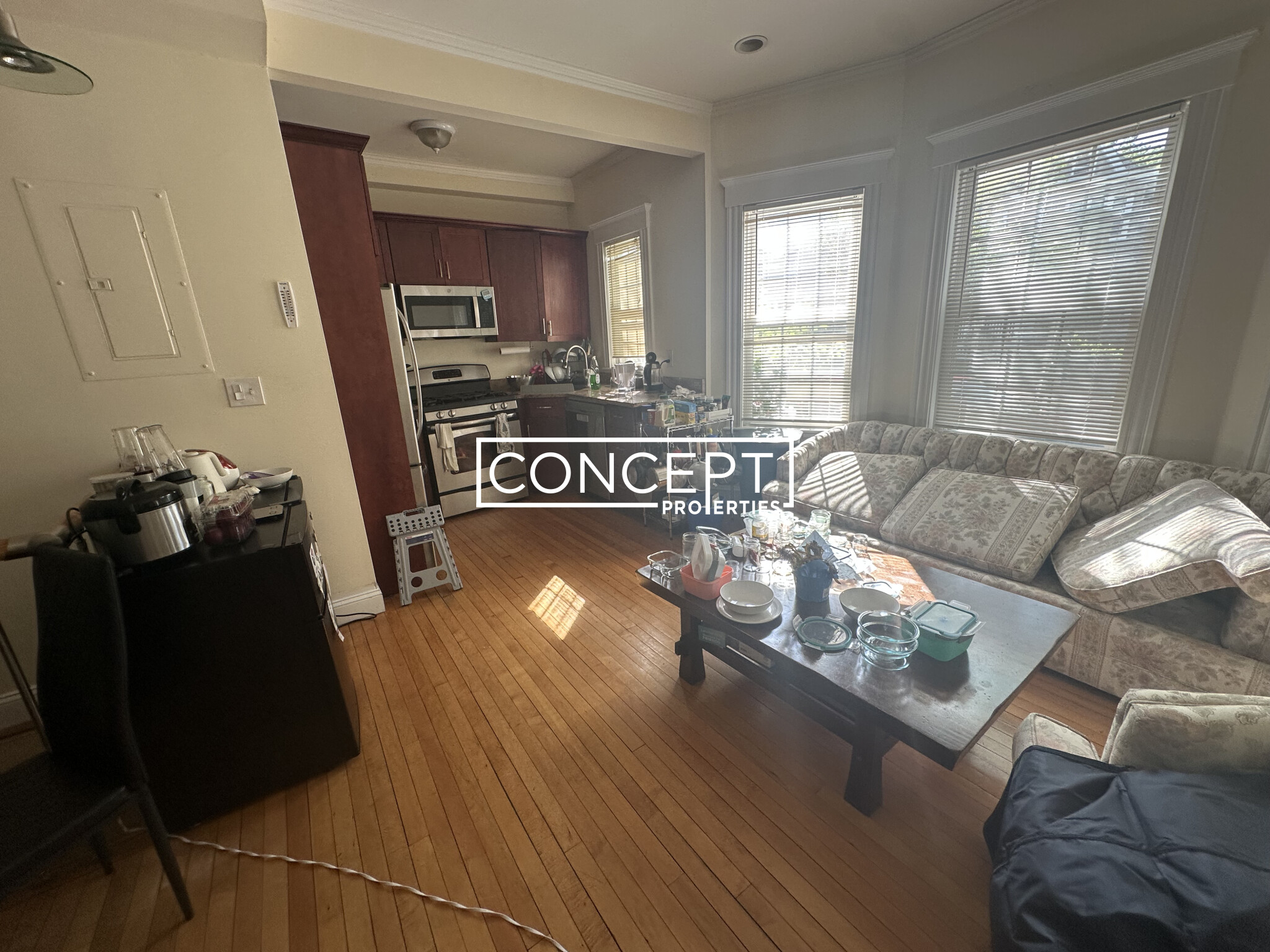 Concept Properties