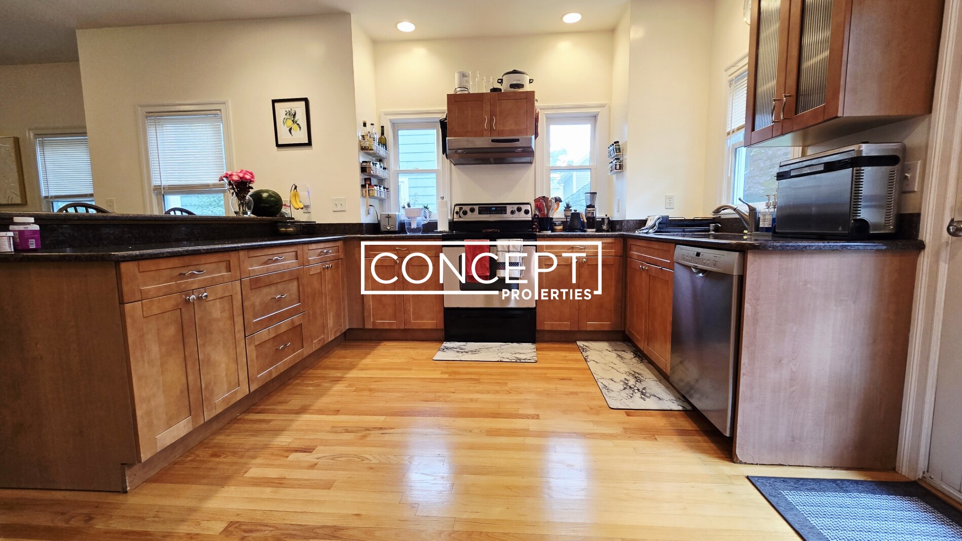 Concept Properties