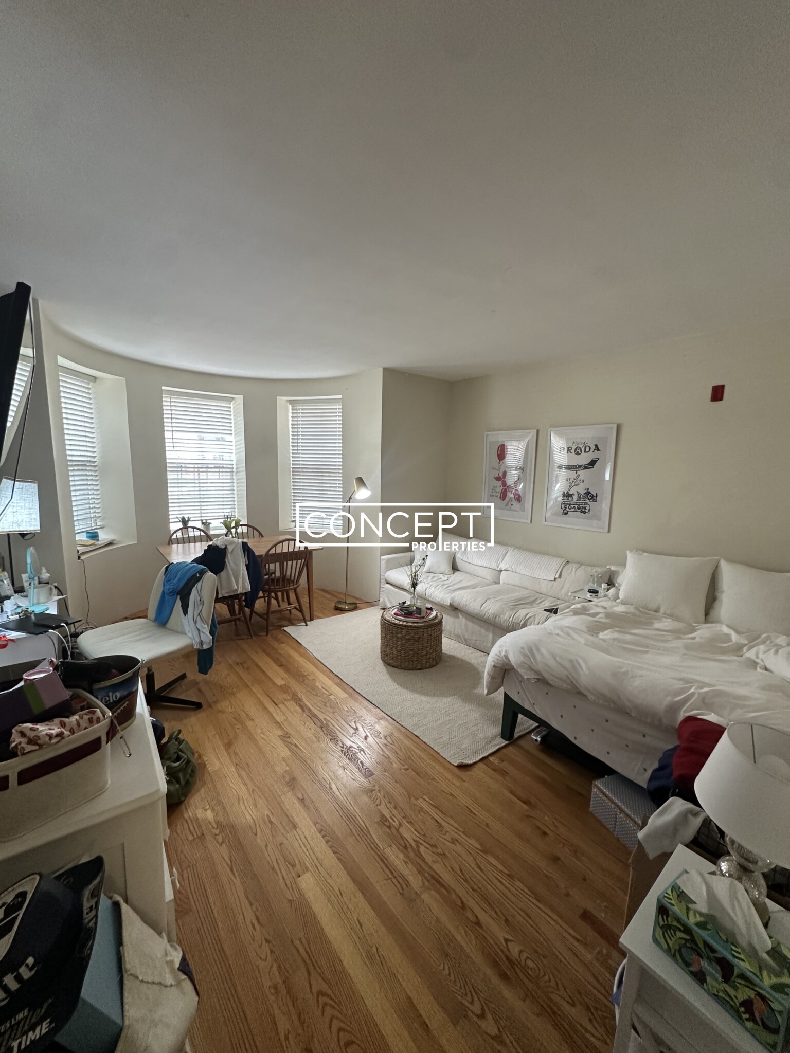 Concept Properties