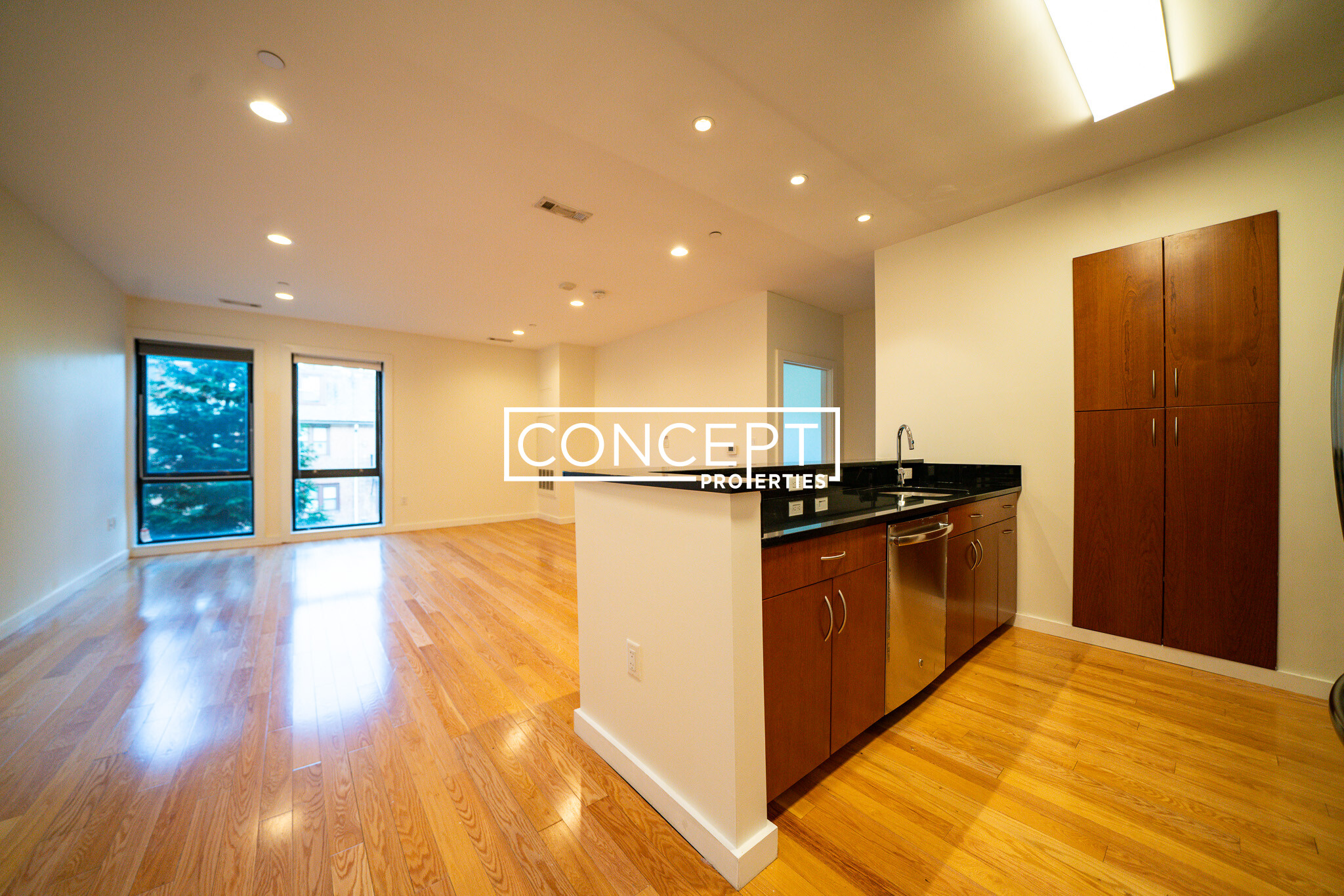 Concept Properties