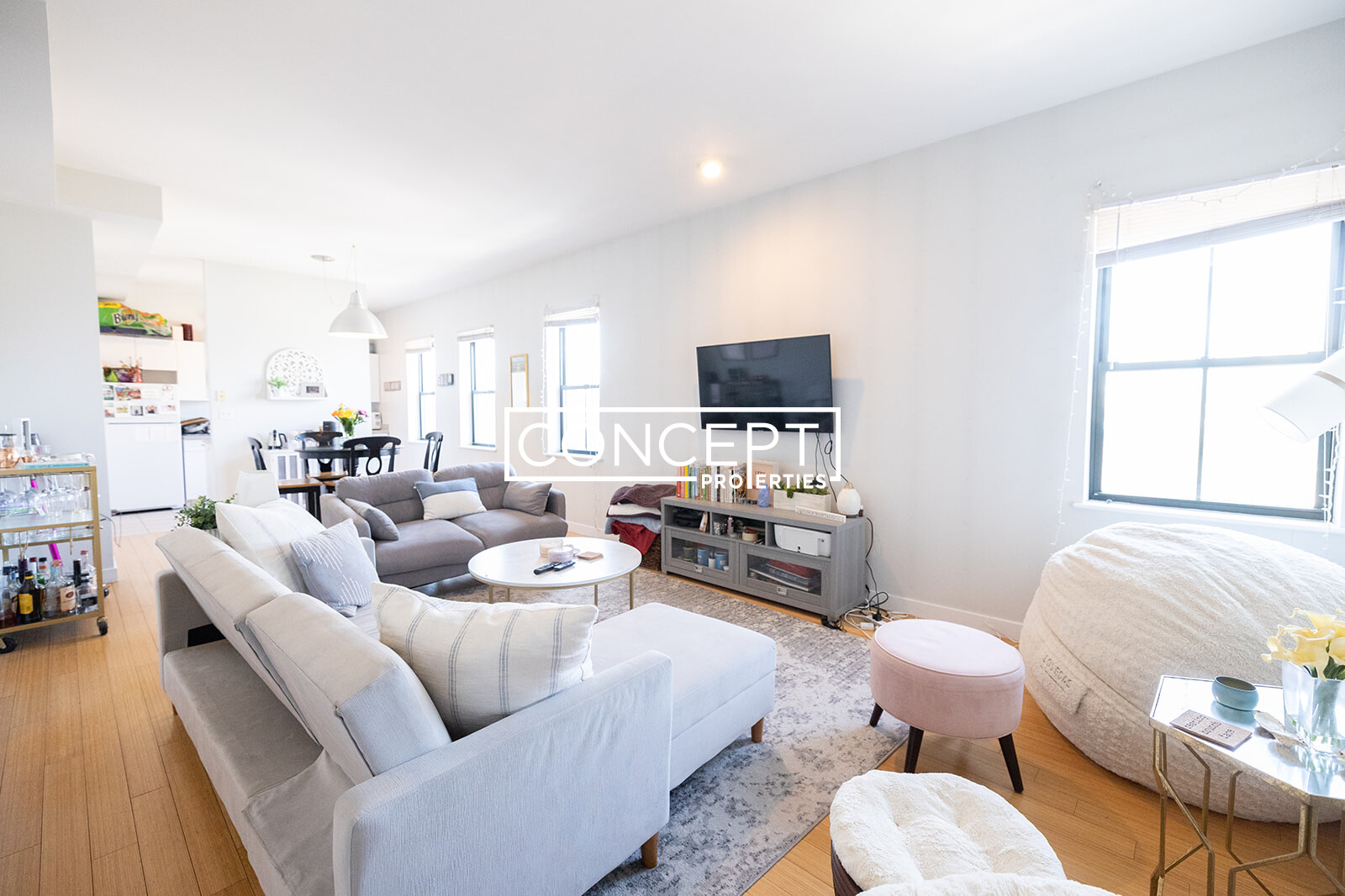 Concept Properties