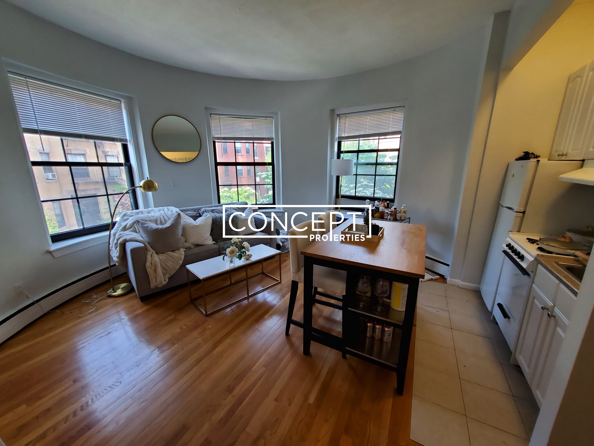 Concept Properties