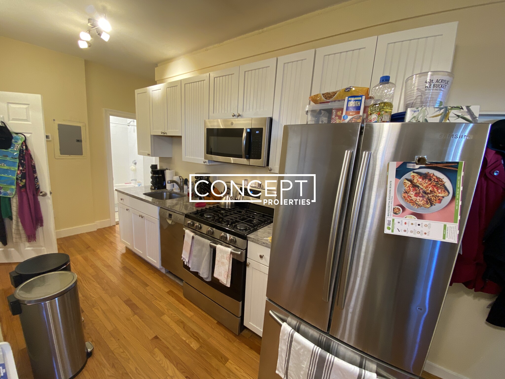 Concept Properties