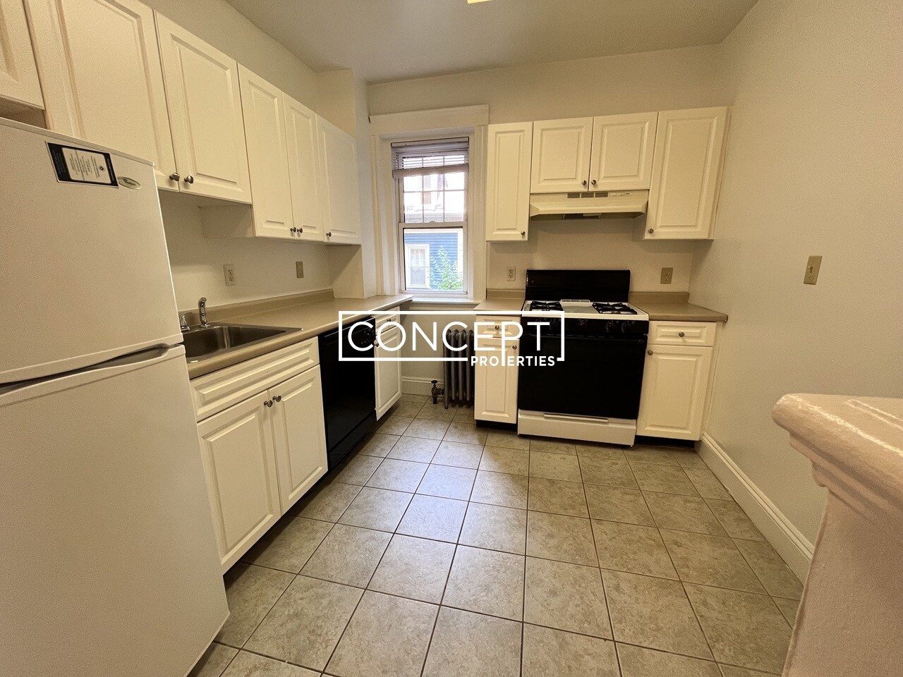 Concept Properties