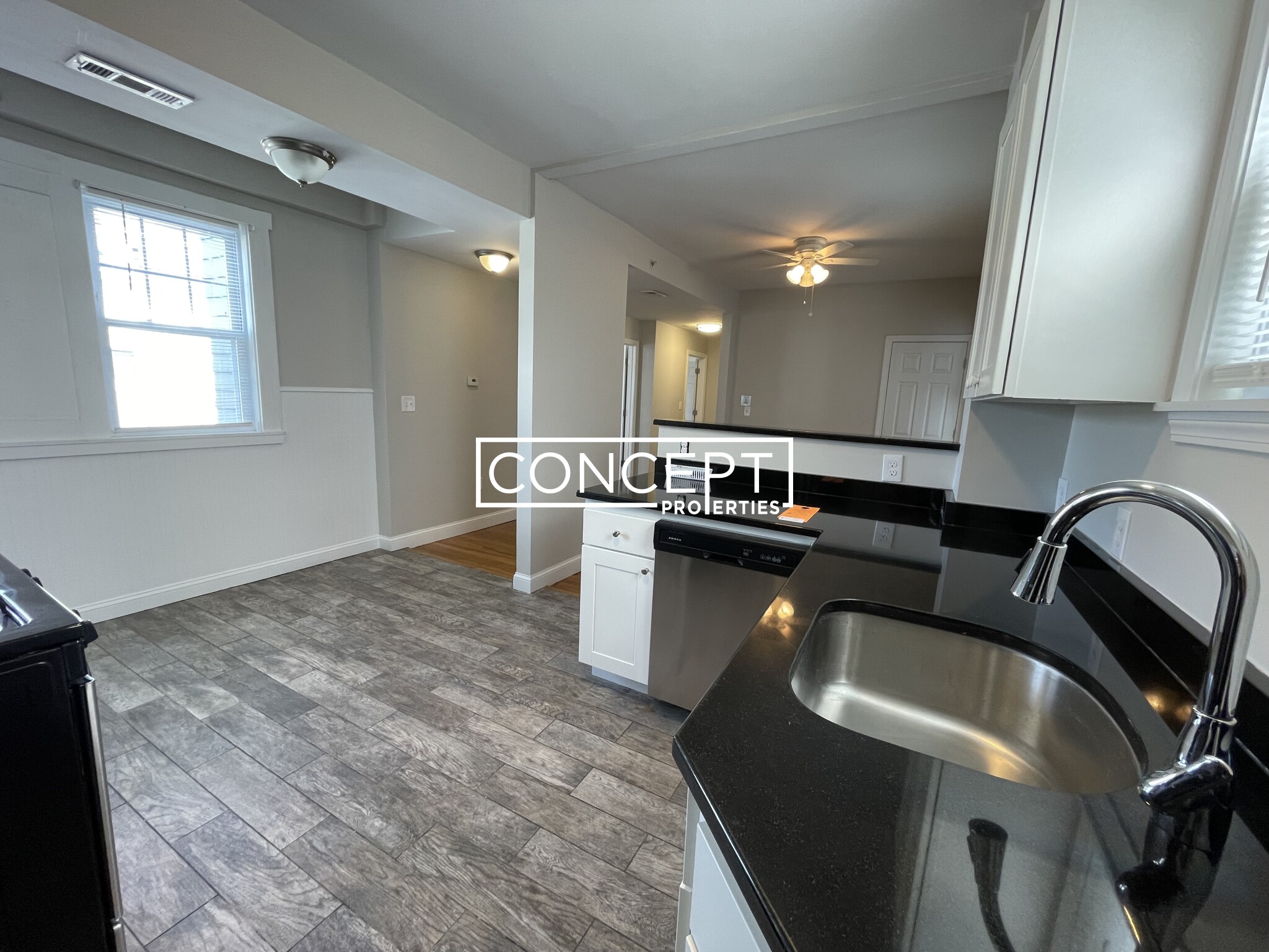 Concept Properties