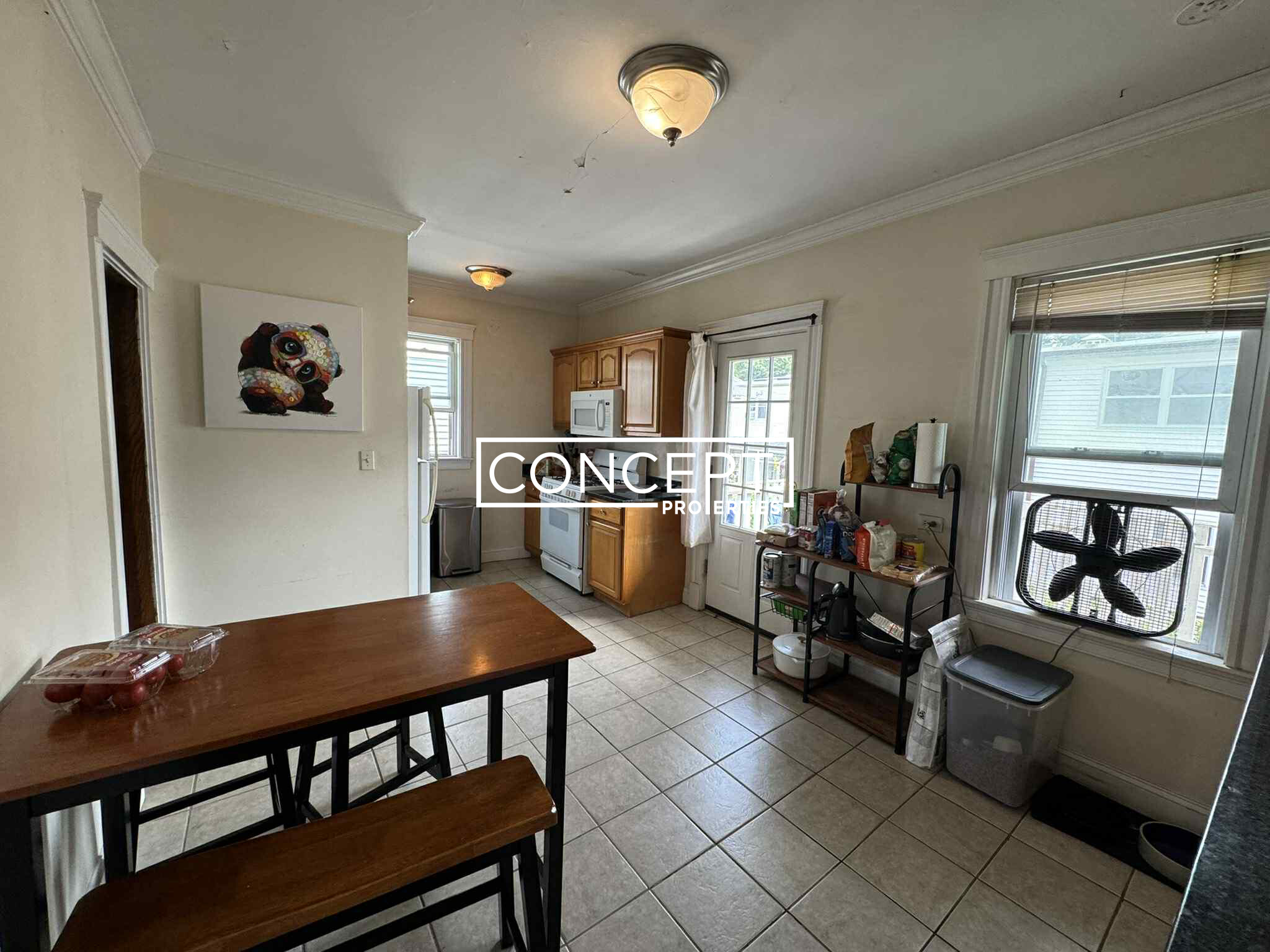Concept Properties