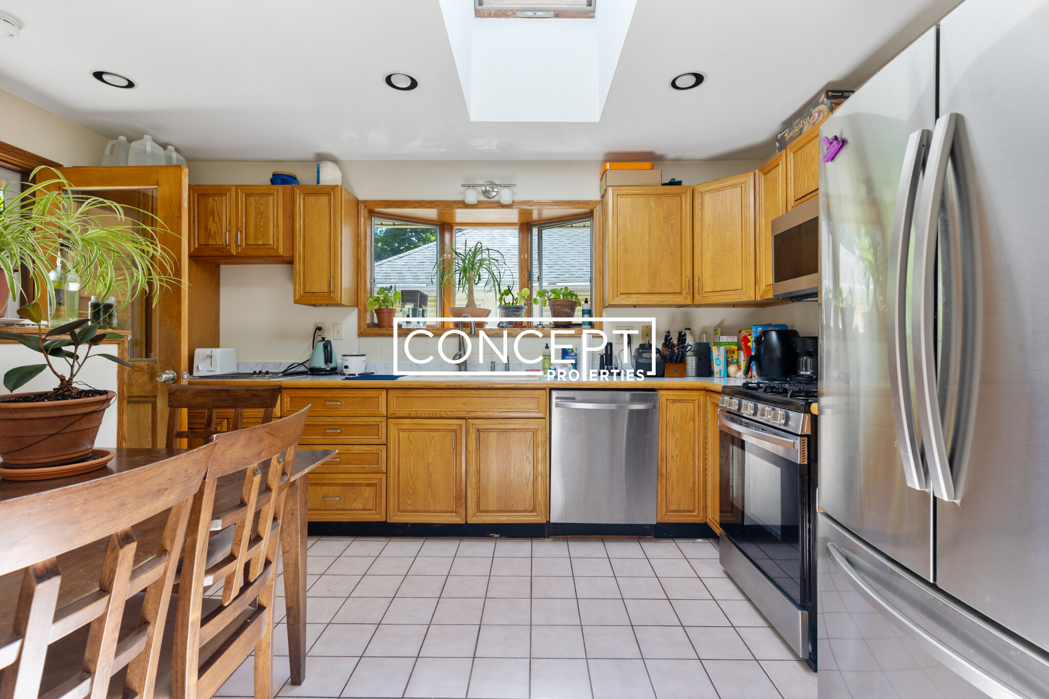 Concept Properties