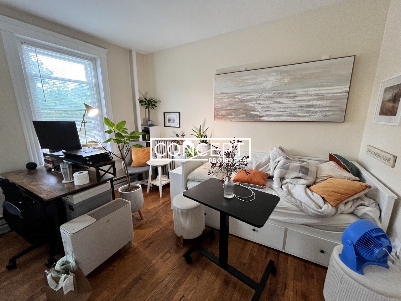Concept Properties