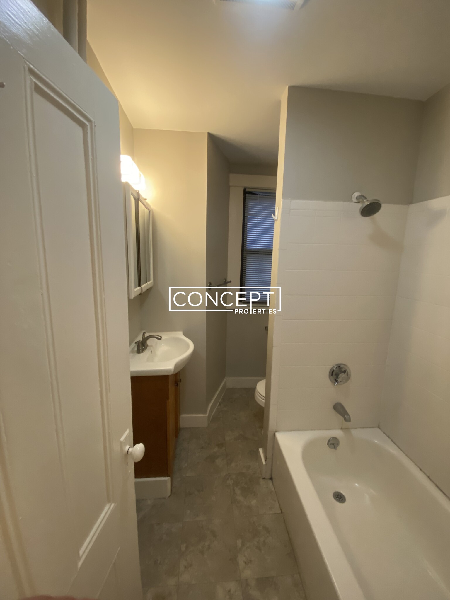 Concept Properties