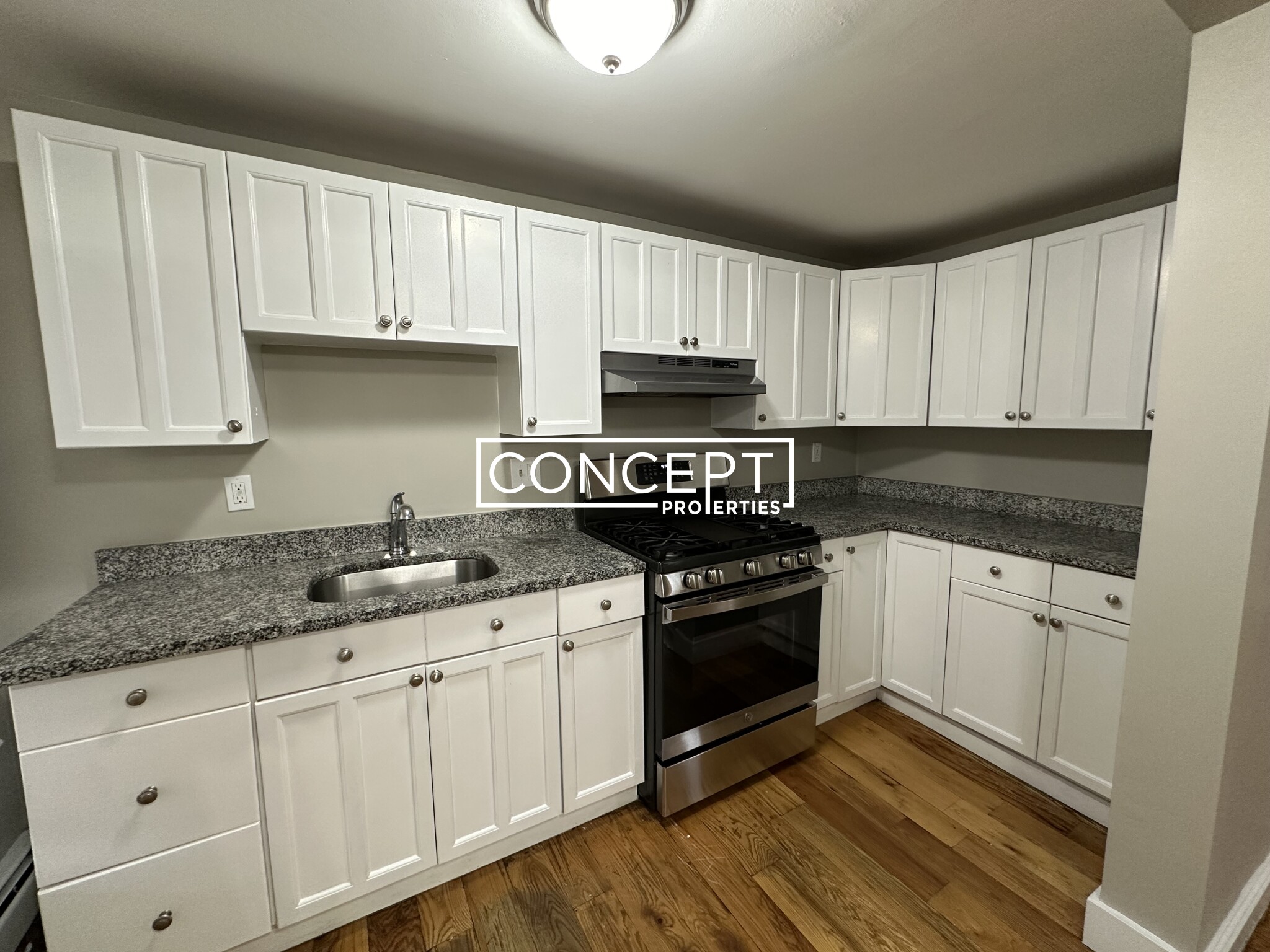Concept Properties