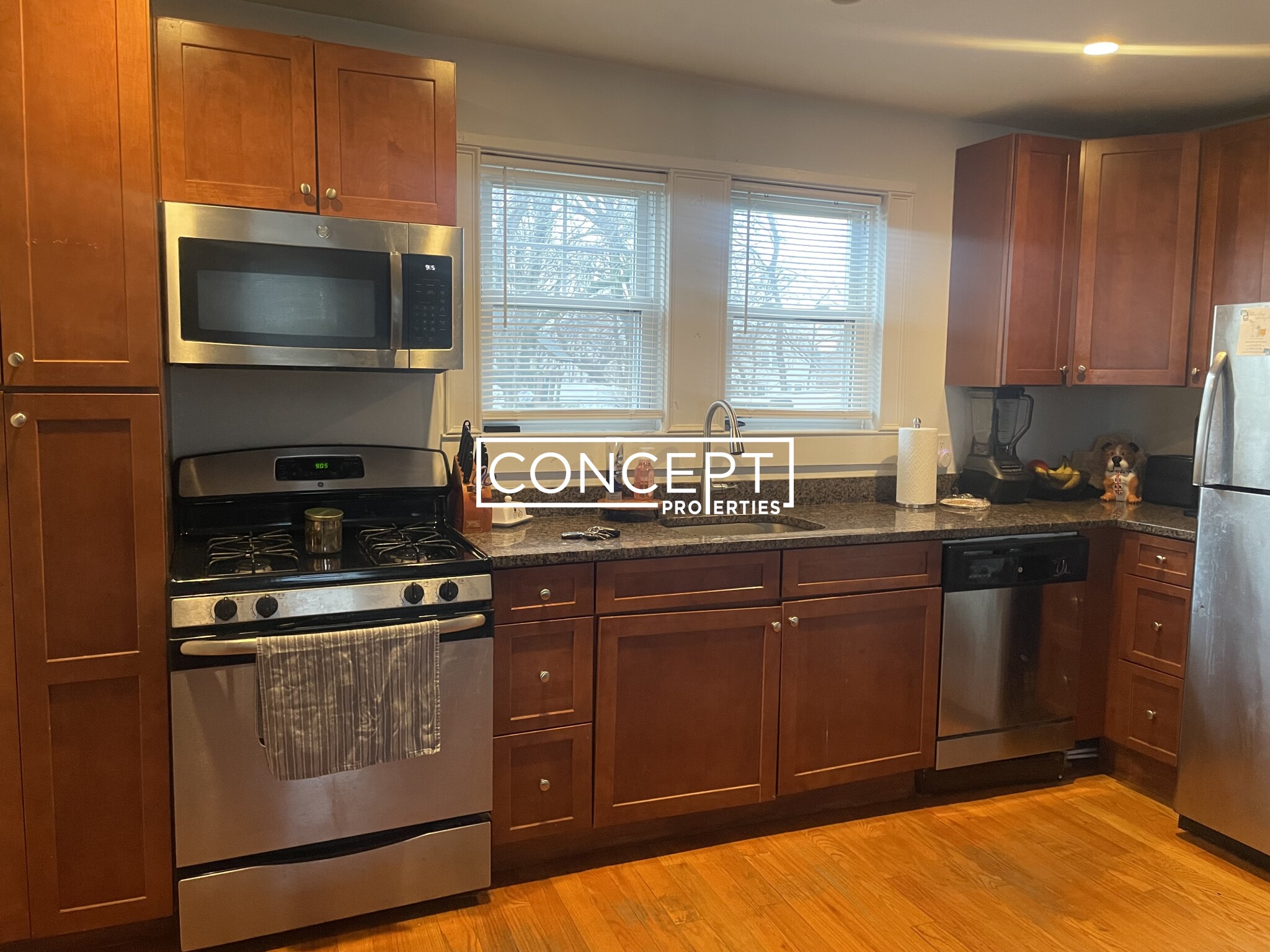 Concept Properties