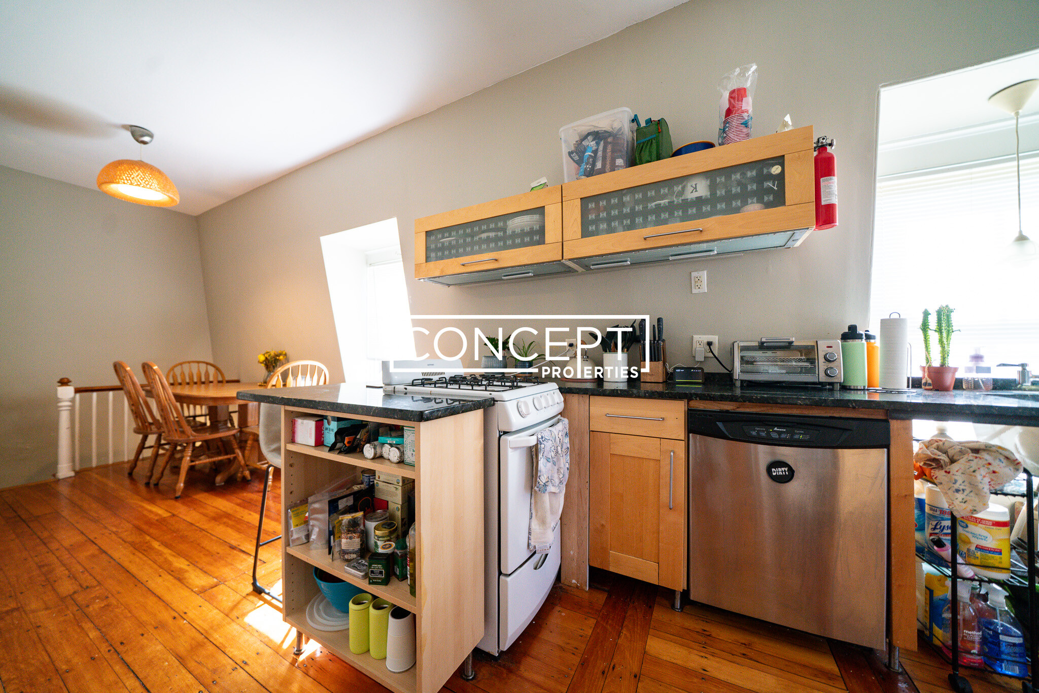 Concept Properties