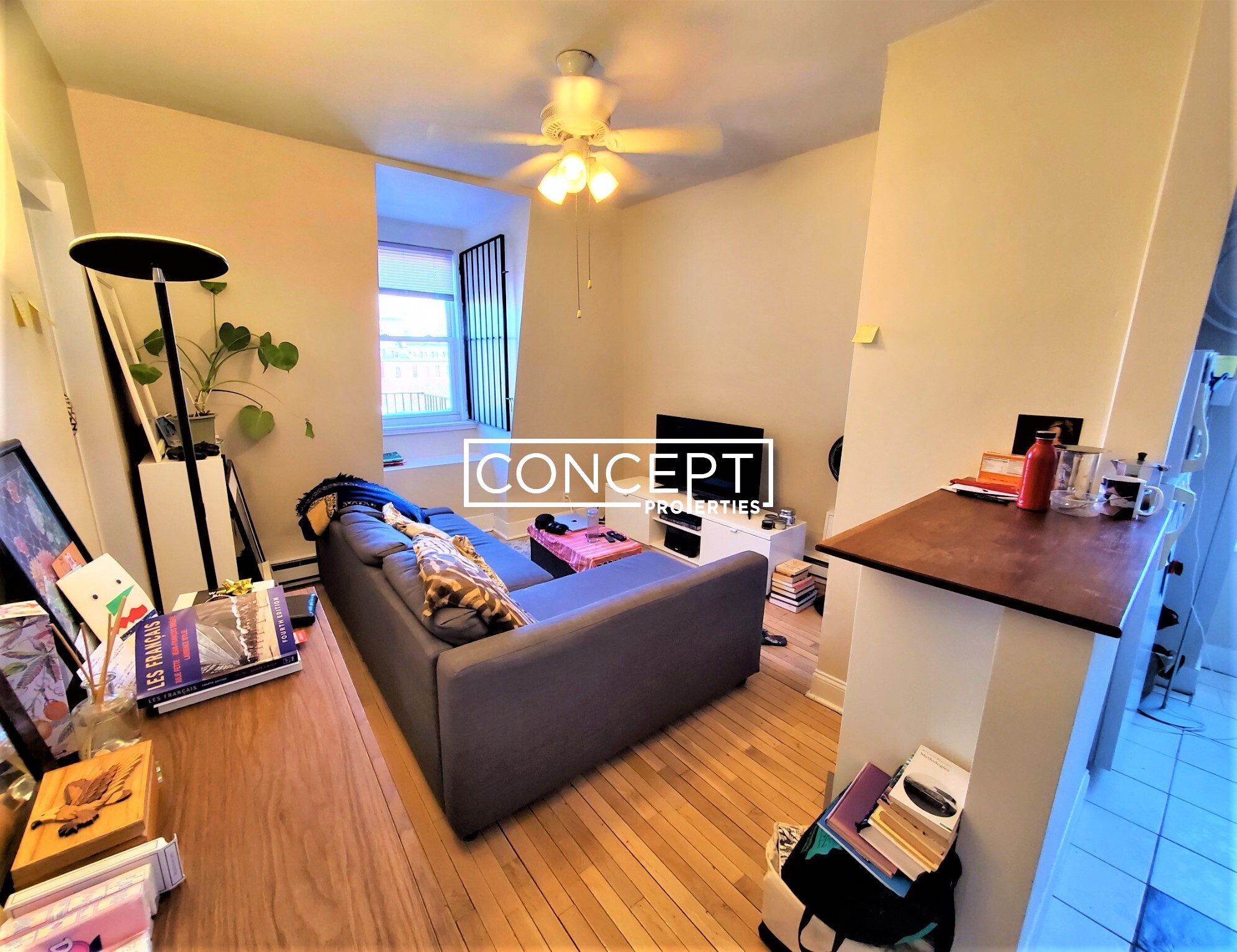 Concept Properties