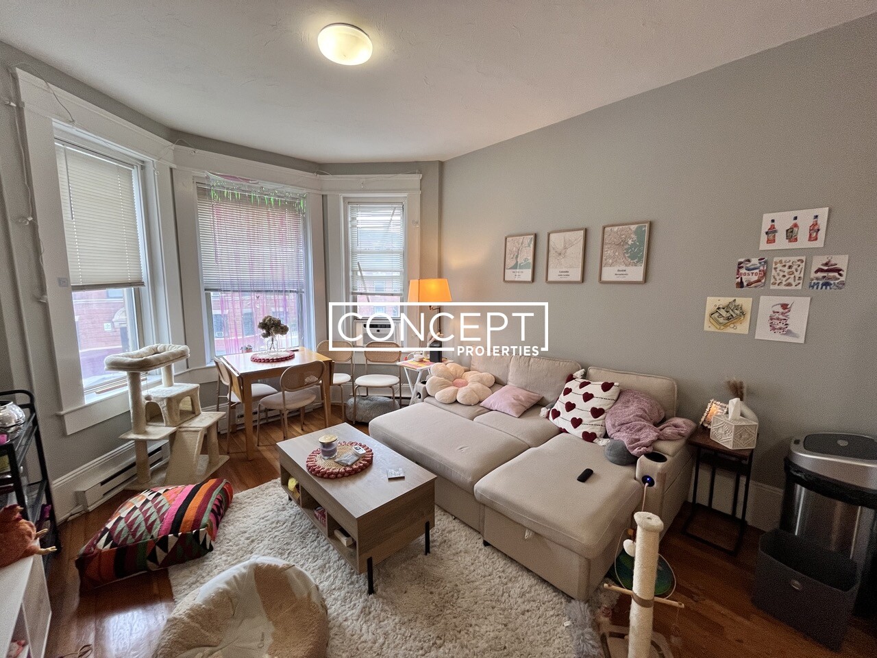 Concept Properties
