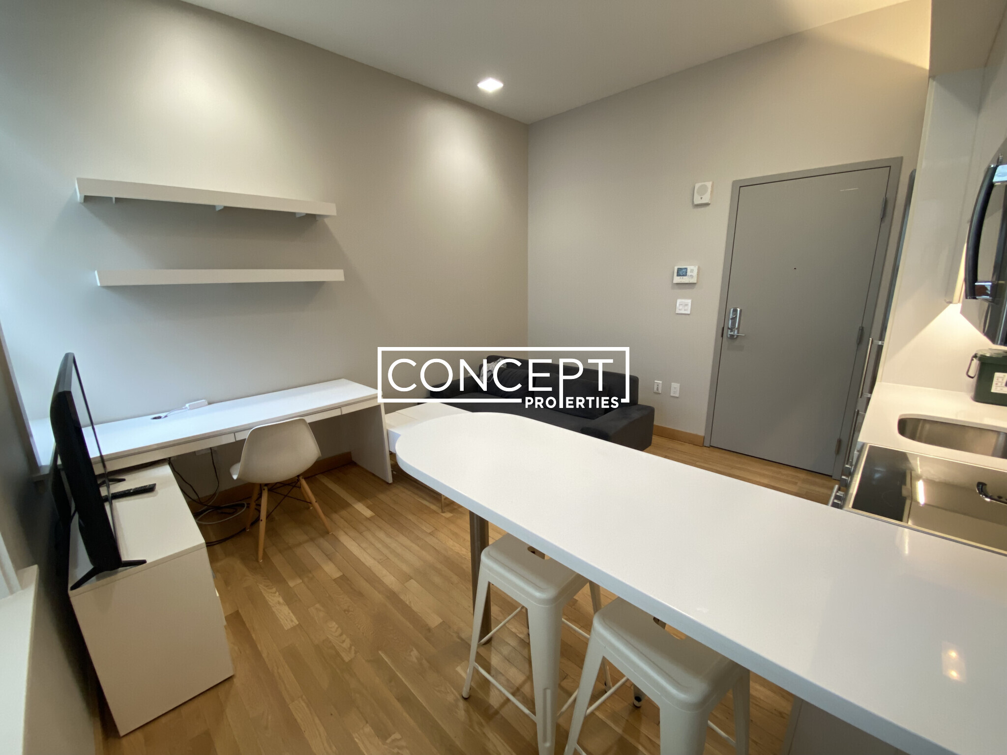 Concept Properties
