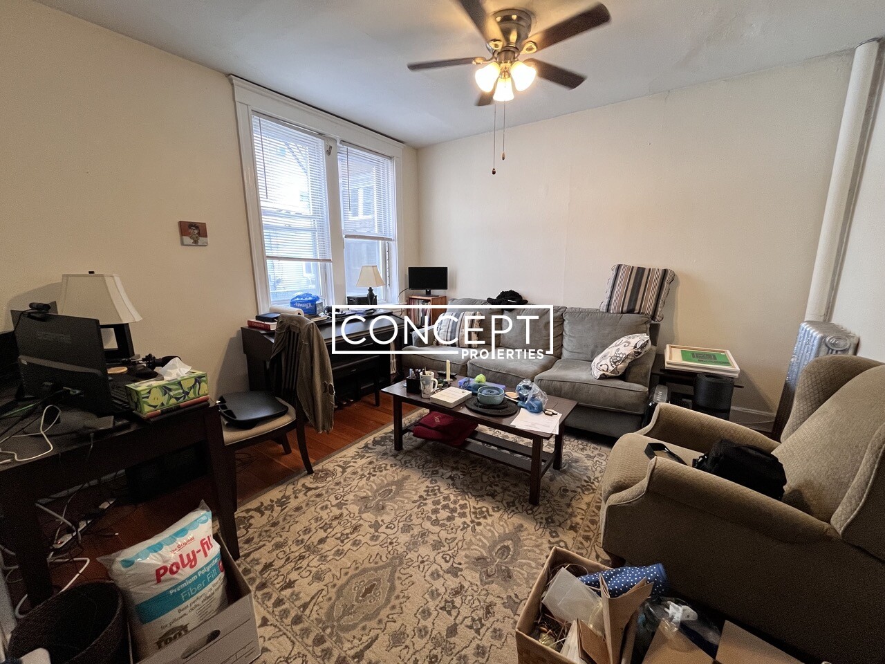 Concept Properties