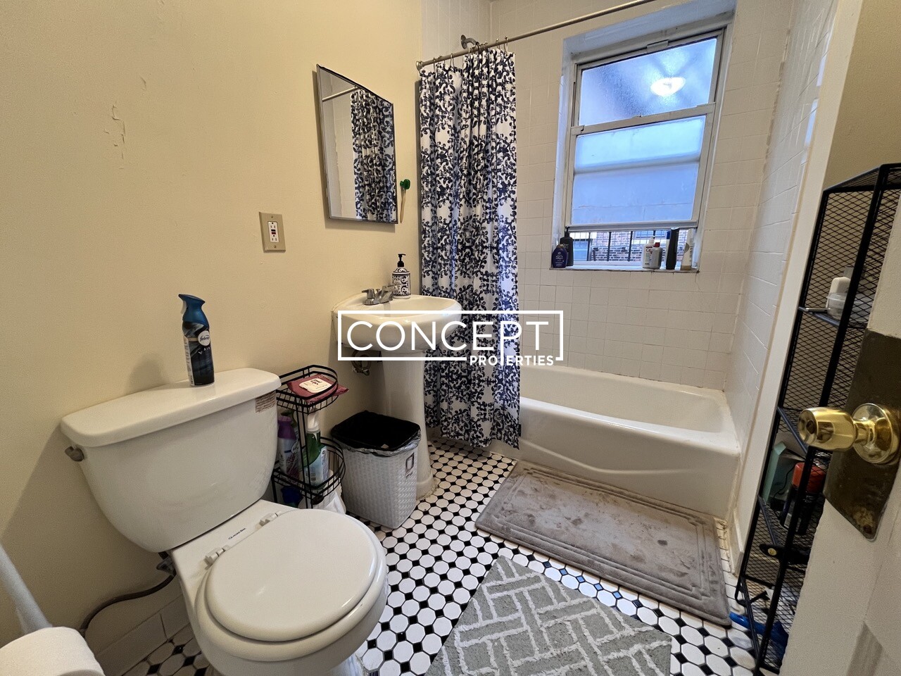 Concept Properties