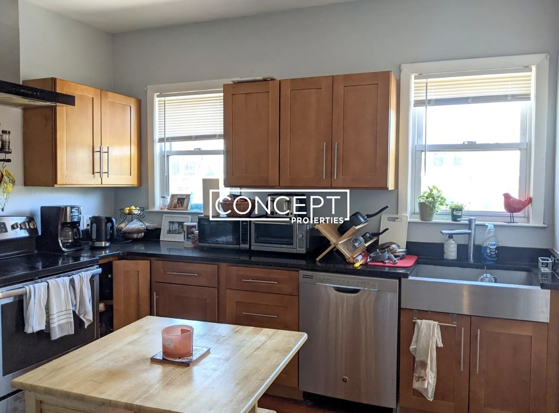 Concept Properties