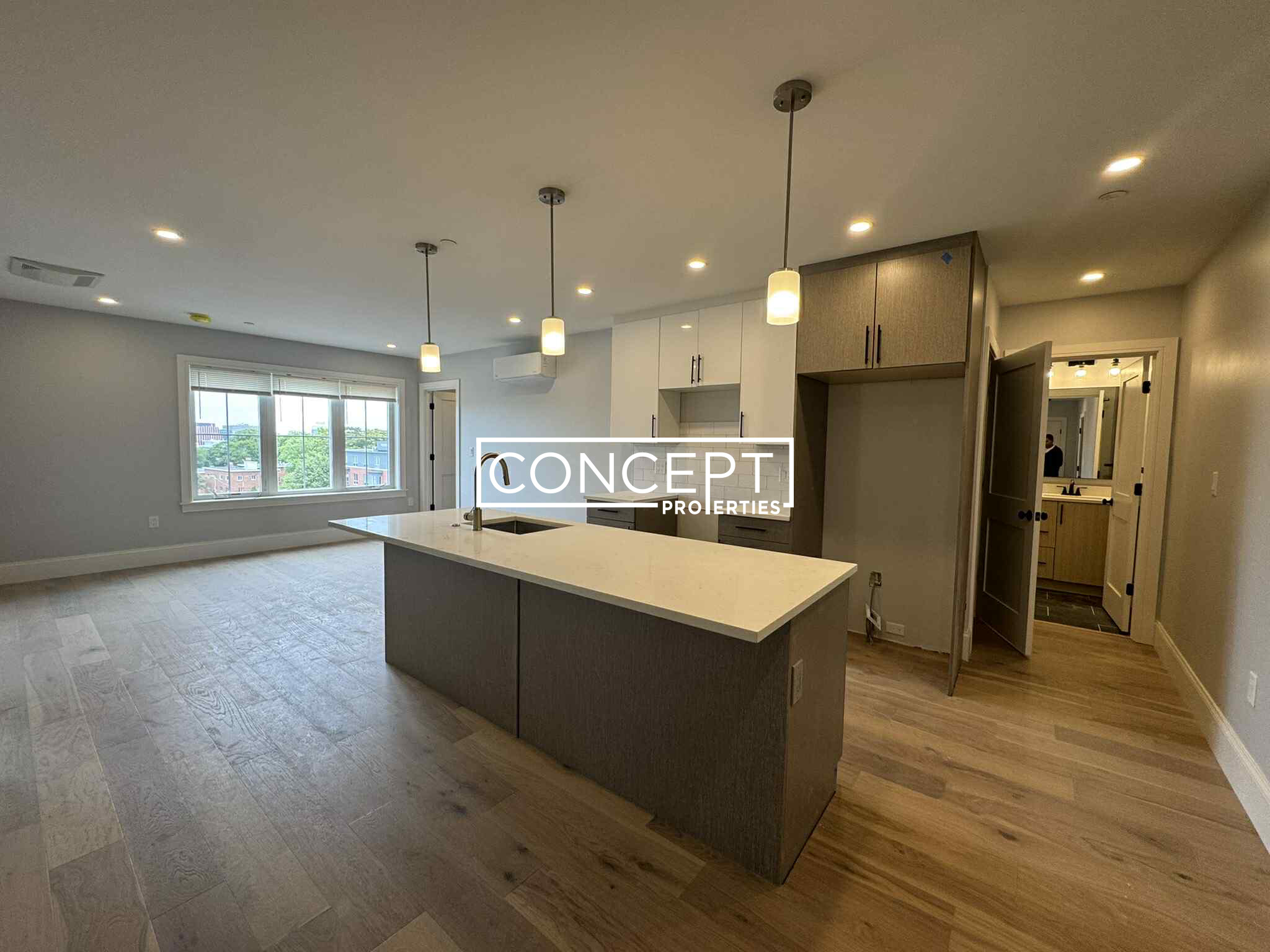 Concept Properties