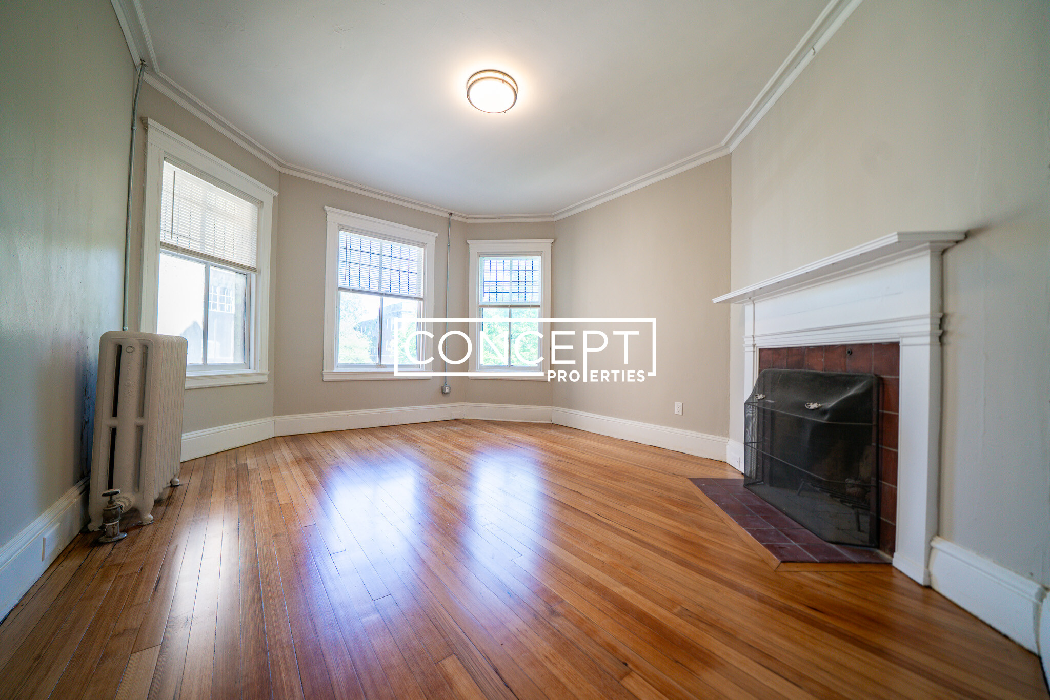 Concept Properties