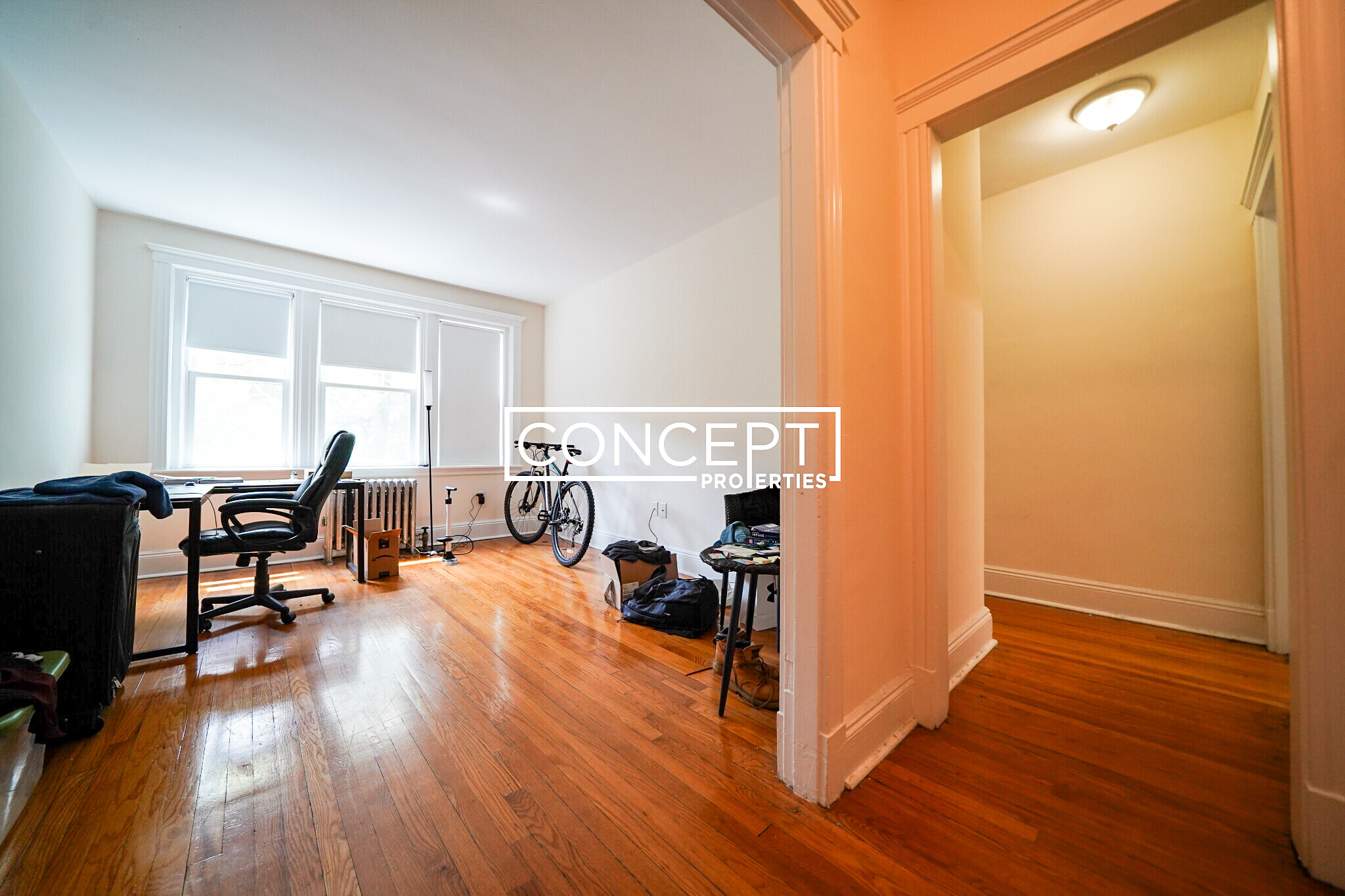 Concept Properties