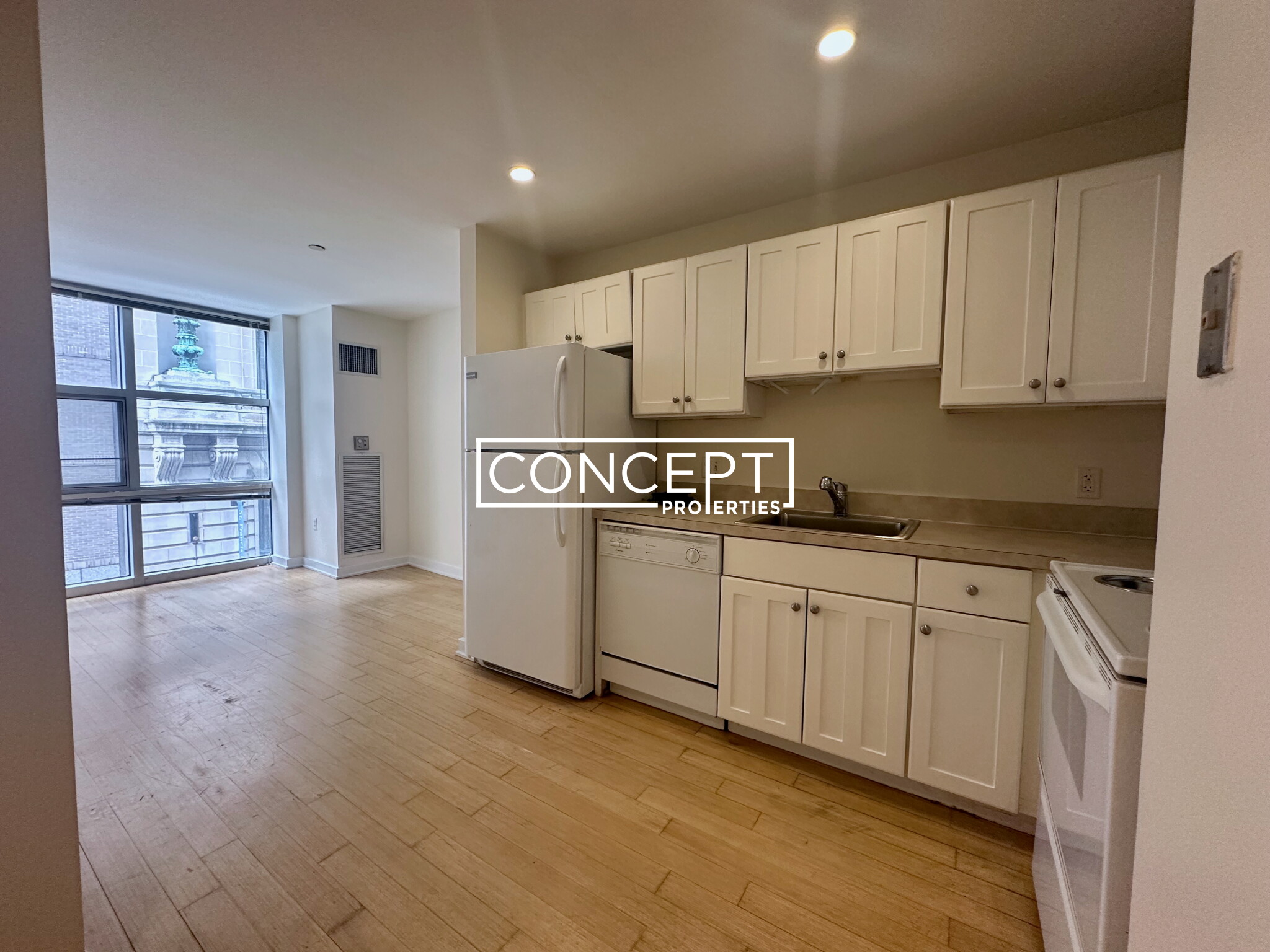 Concept Properties