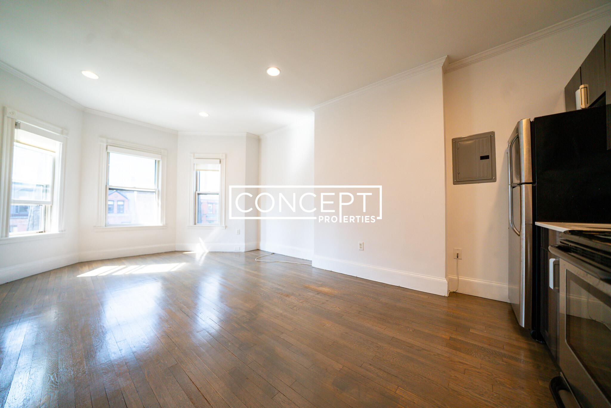 Concept Properties