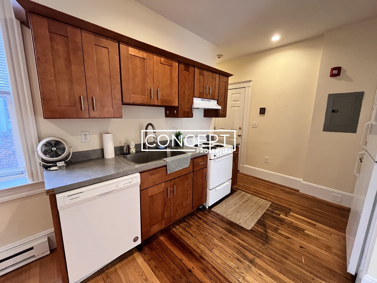Concept Properties