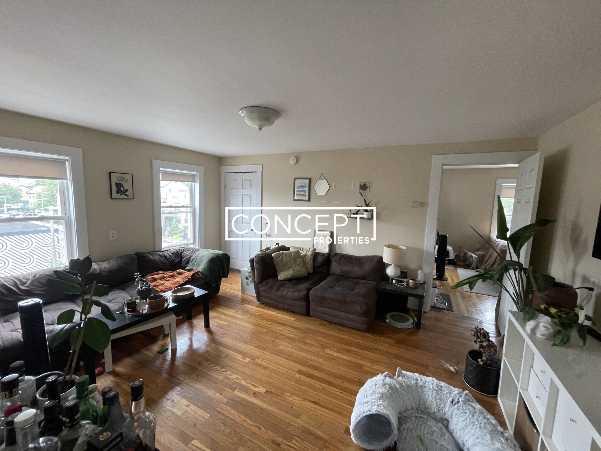 Concept Properties