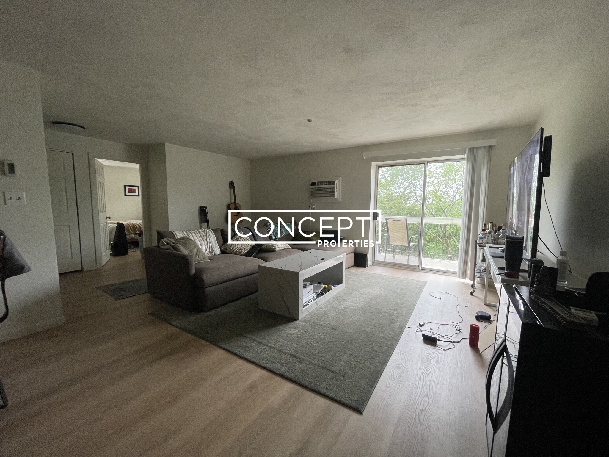 Concept Properties