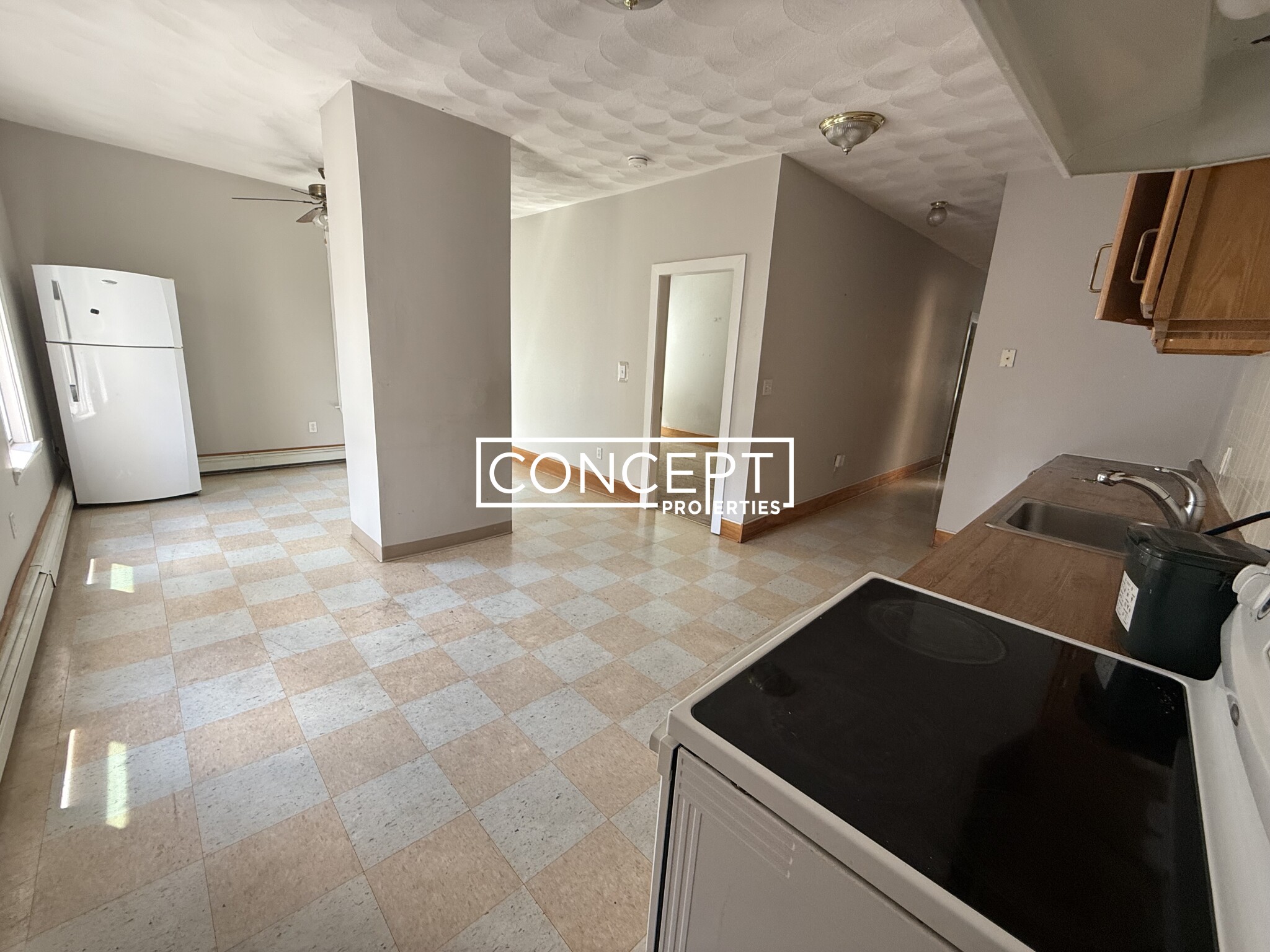 Concept Properties