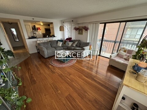 Concept Properties