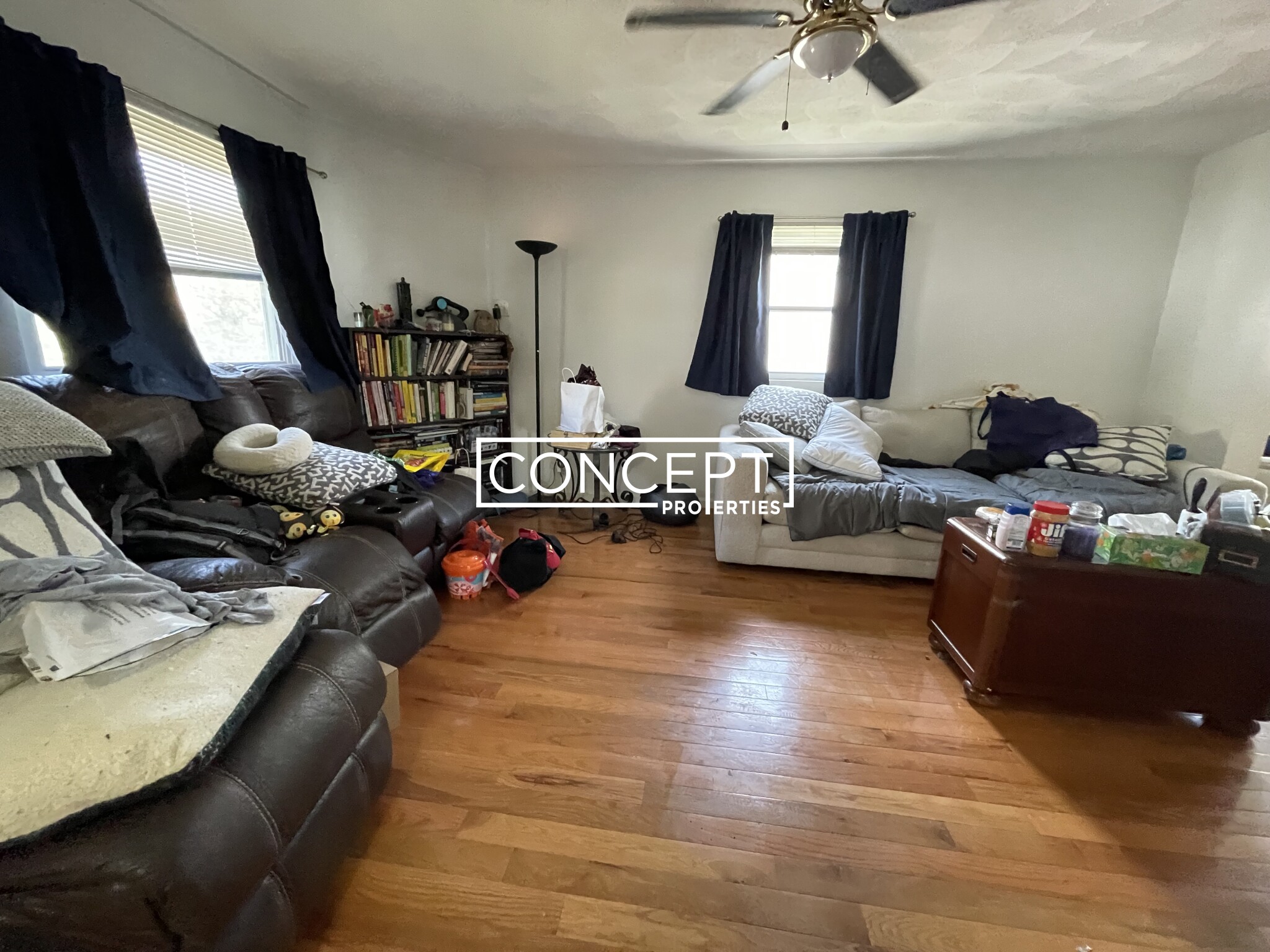 Concept Properties
