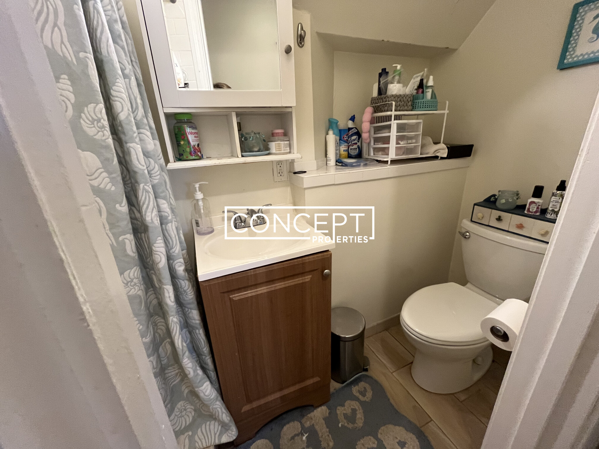 Concept Properties